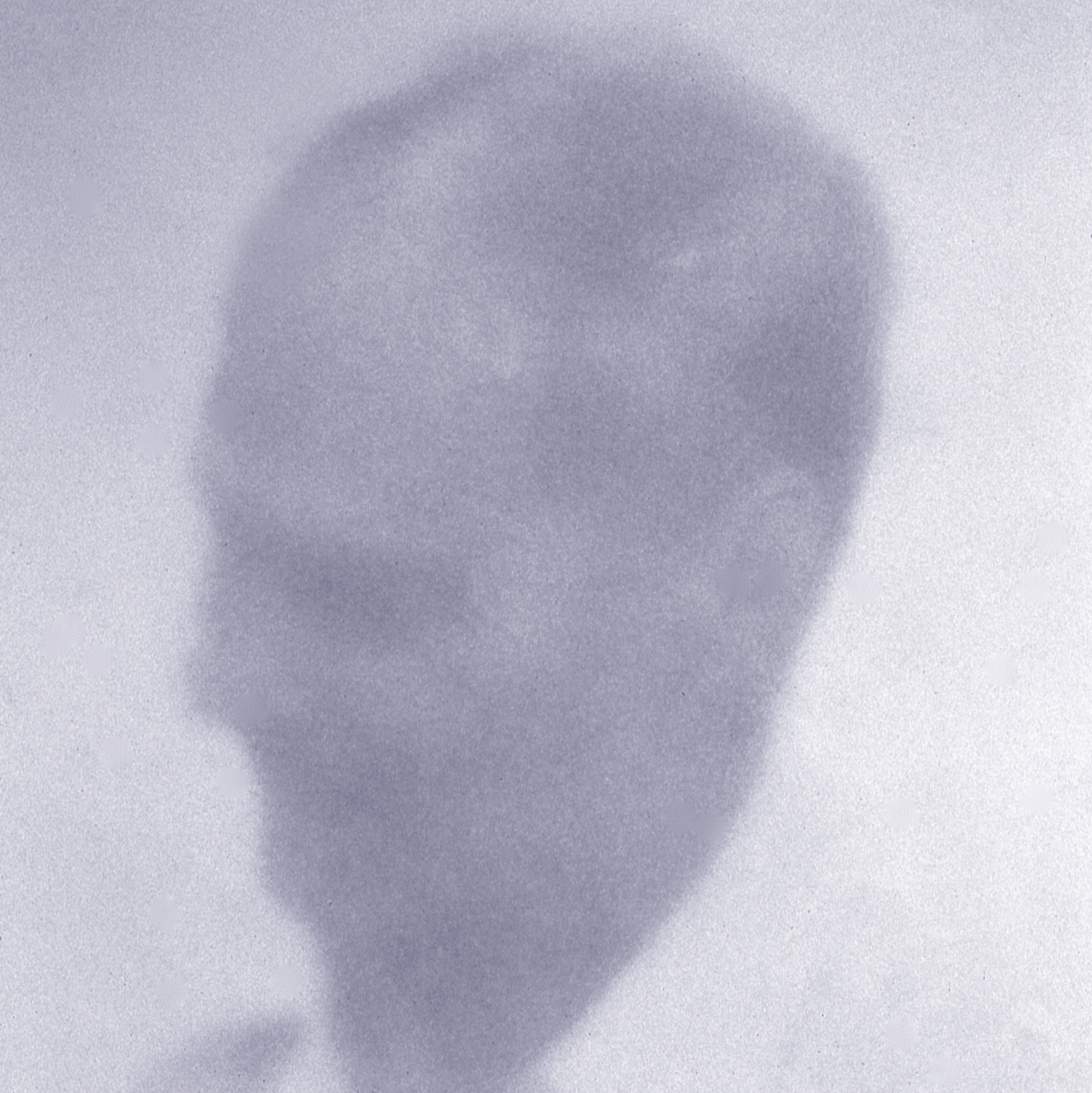 Anonymous_009.jpg