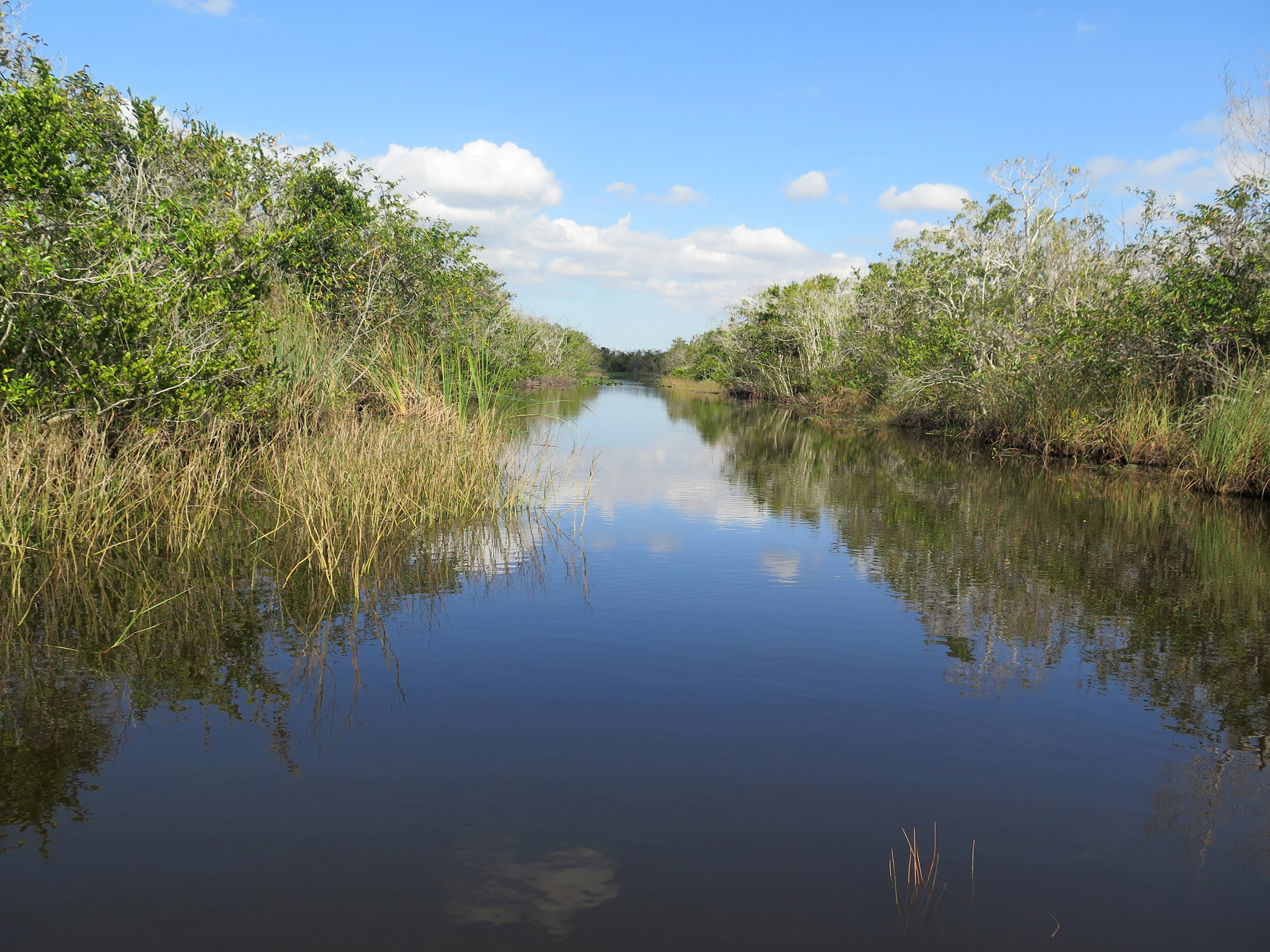 Everglades_03.JPG