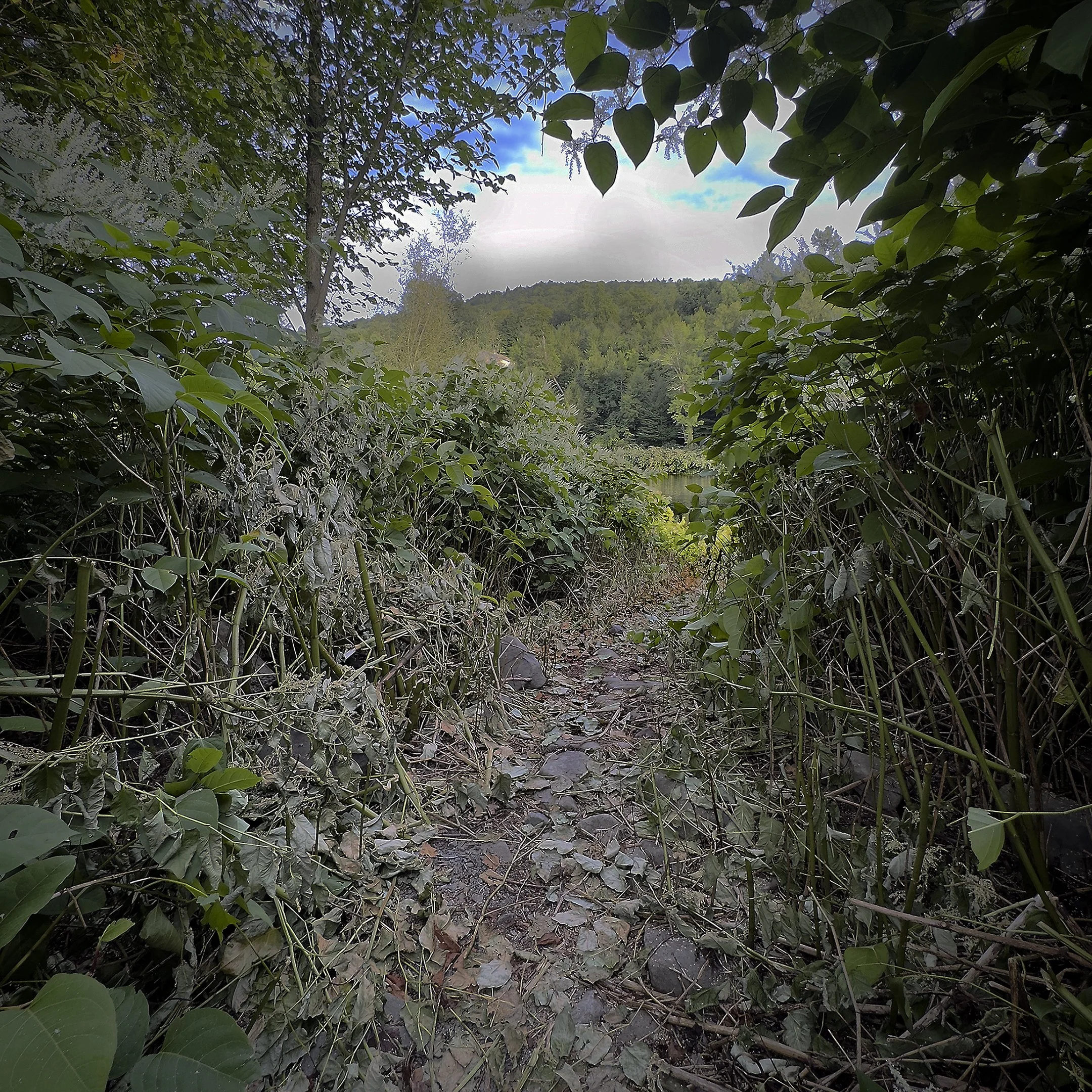 shorelines_order06.jpg