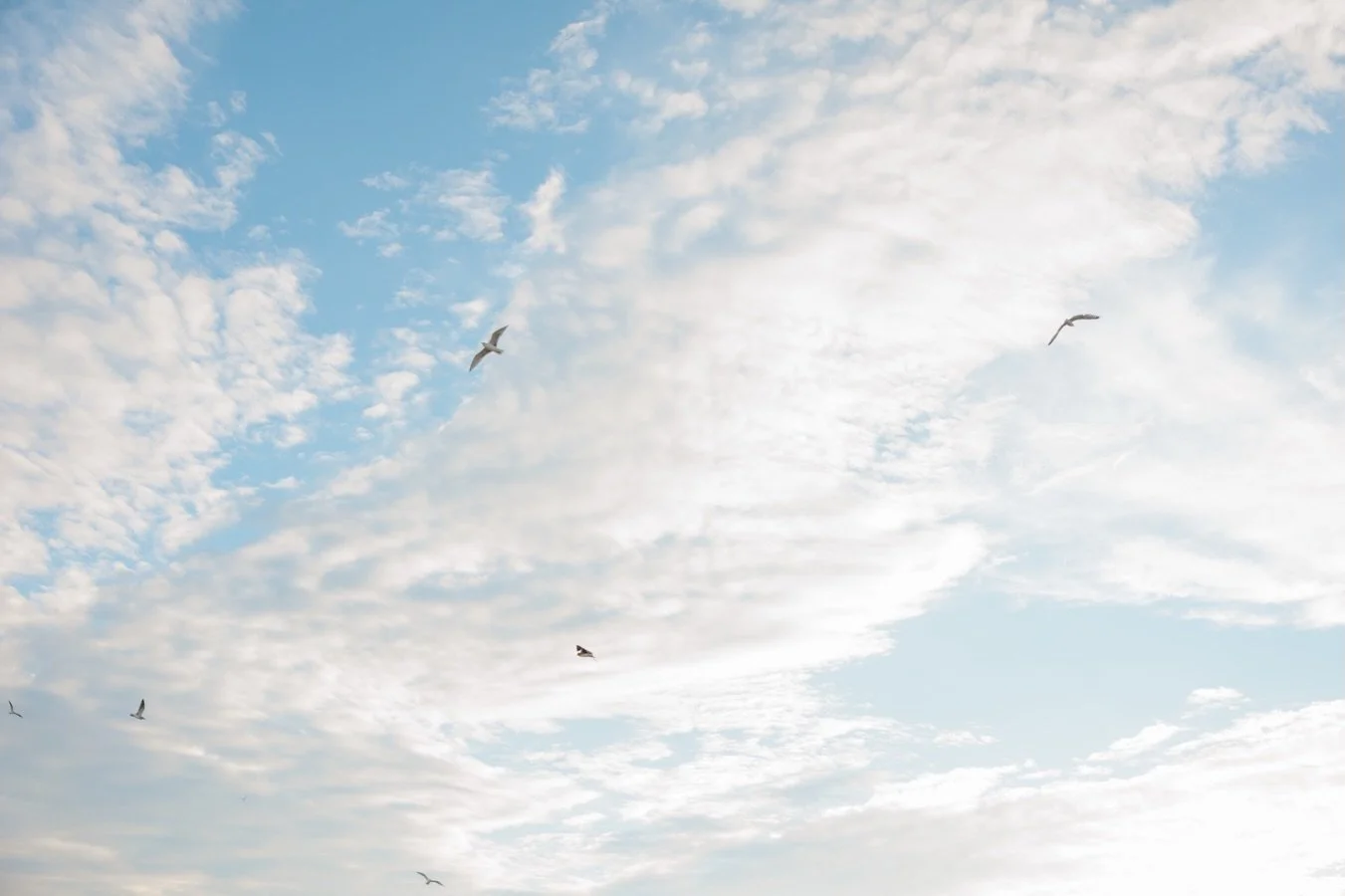 The sun is back and so am I! Popping out of my winter hidey-hole to say hello👋🏼 I hope everyone is having a great 2026 so far, and now that we&rsquo;ve got a break in the weather I feel like this year&rsquo;s weddings are right around the corner ☀️