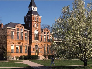 msu copy.jpg