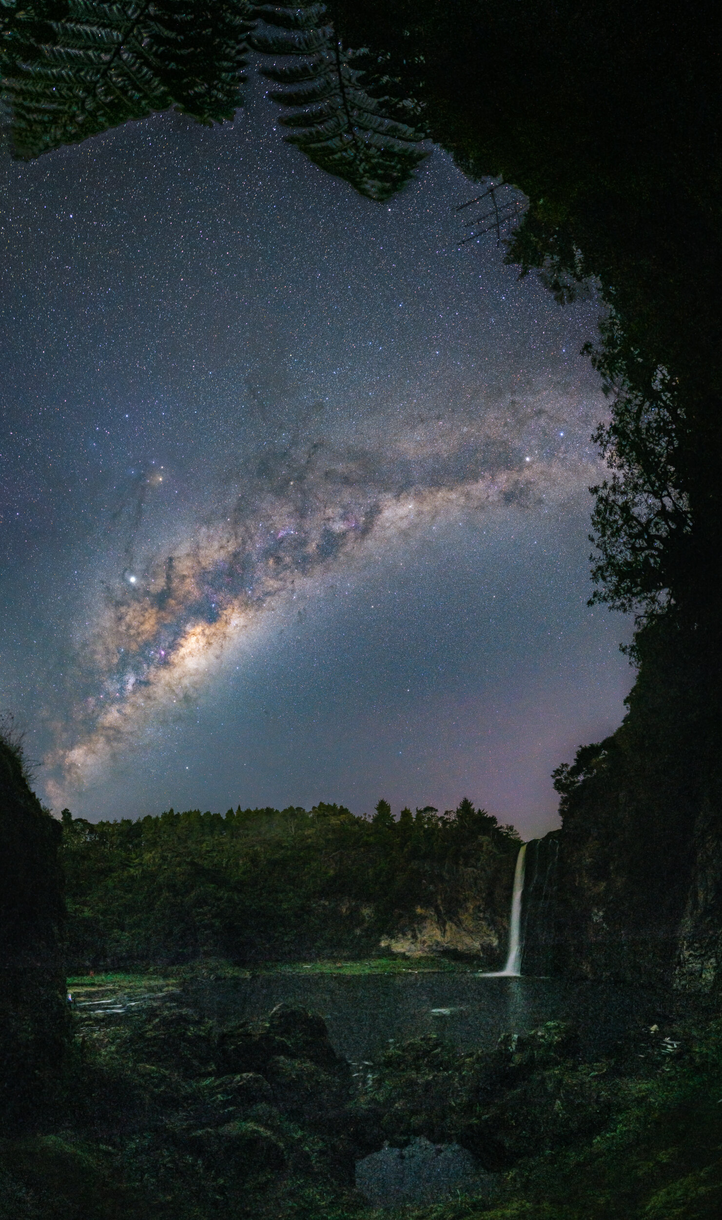 Hunua Leaves Pano 8k.jpg