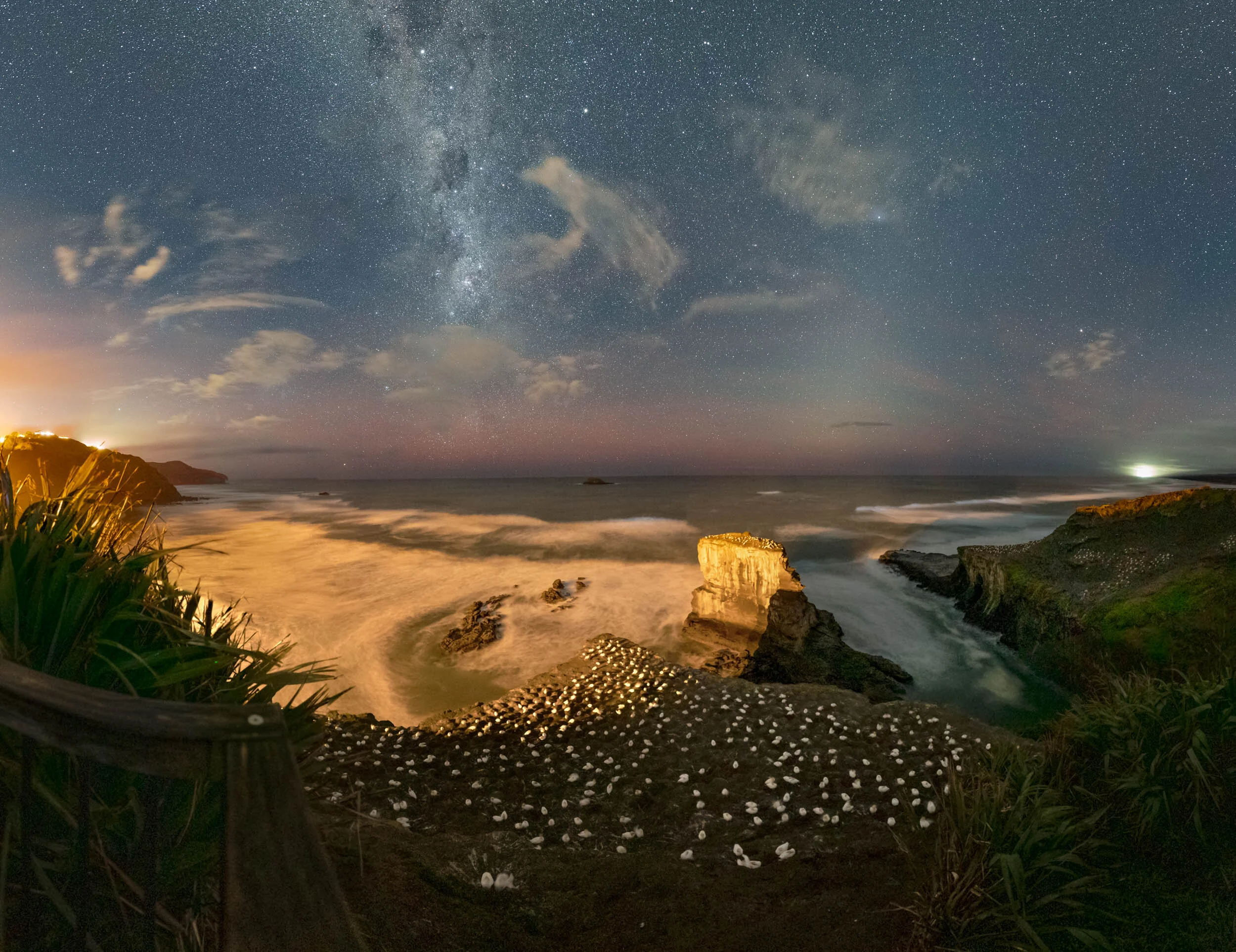 Milky Way Workshops at Muriwai Gannet Colony