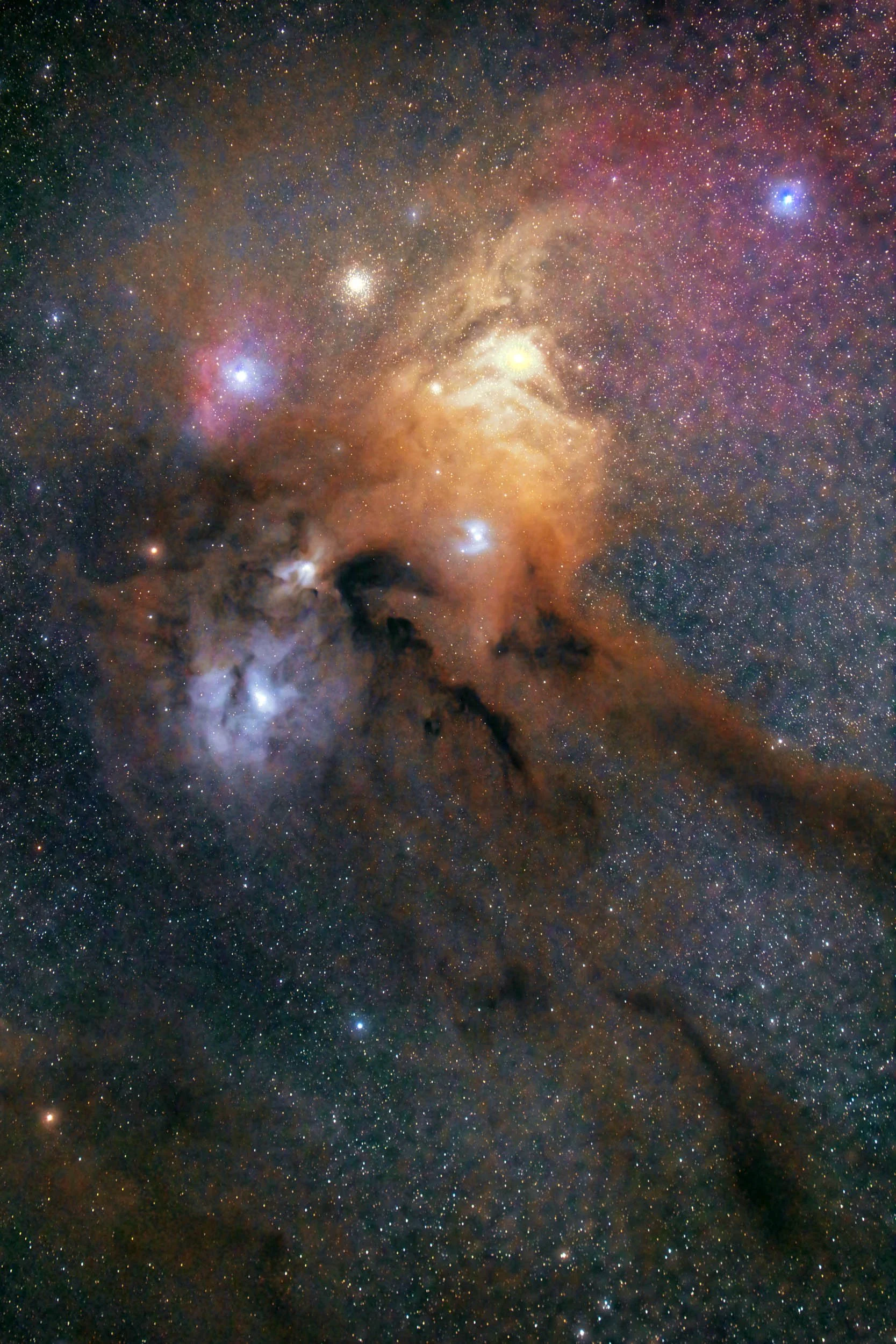 Advanced Star Tracker Classes at Waitawa Regional Park