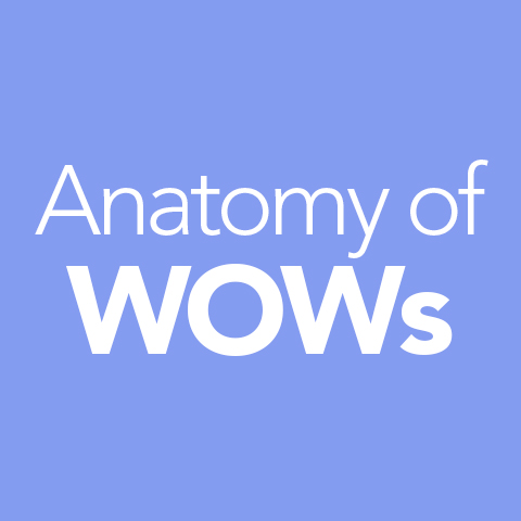 99WOWs__TheBook_AnatomyOfWOWs.jpg