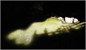 caveshadow-5.jpg