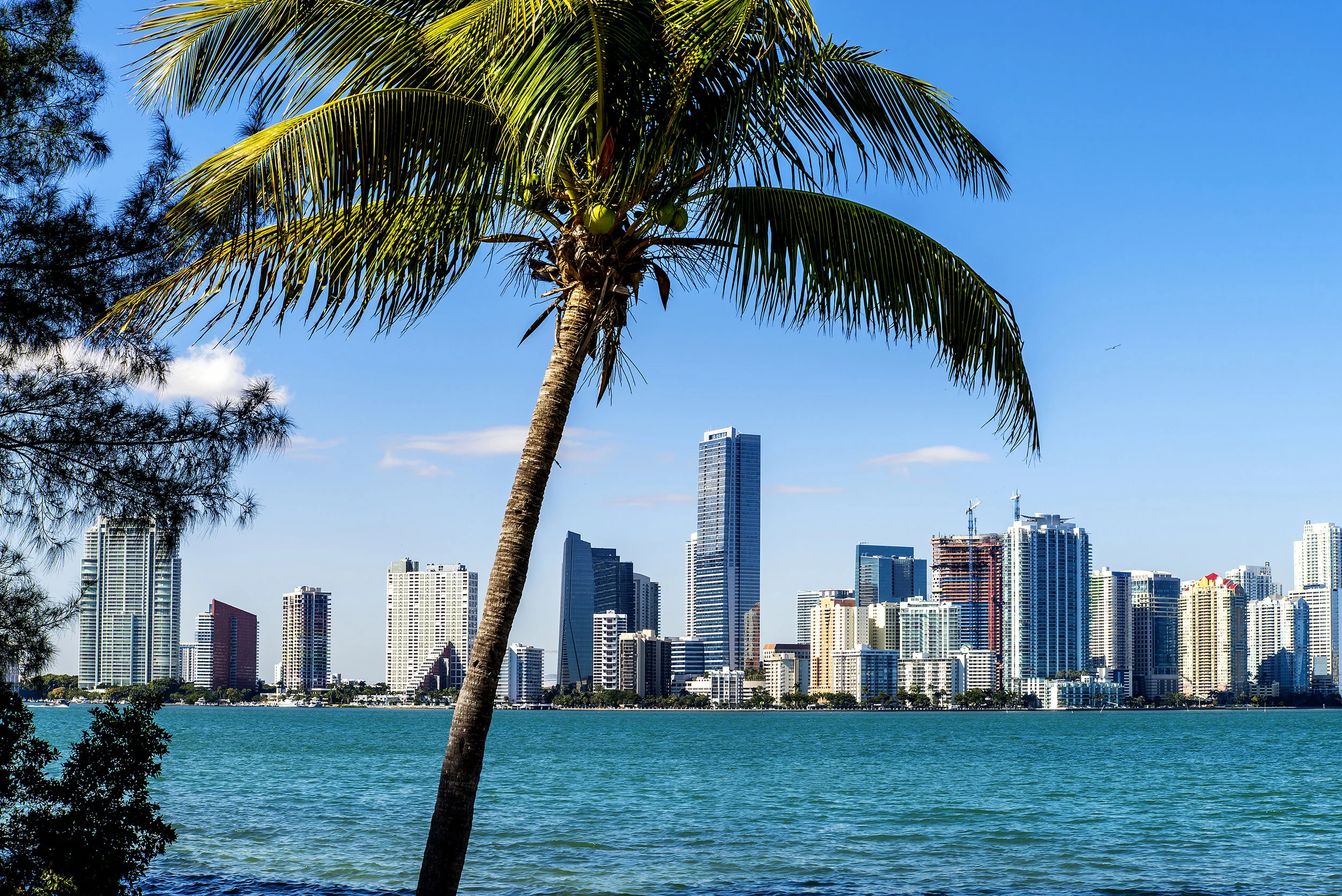 PRMG Expands its Southeast Territory with New Branch in Hialeah, FL!