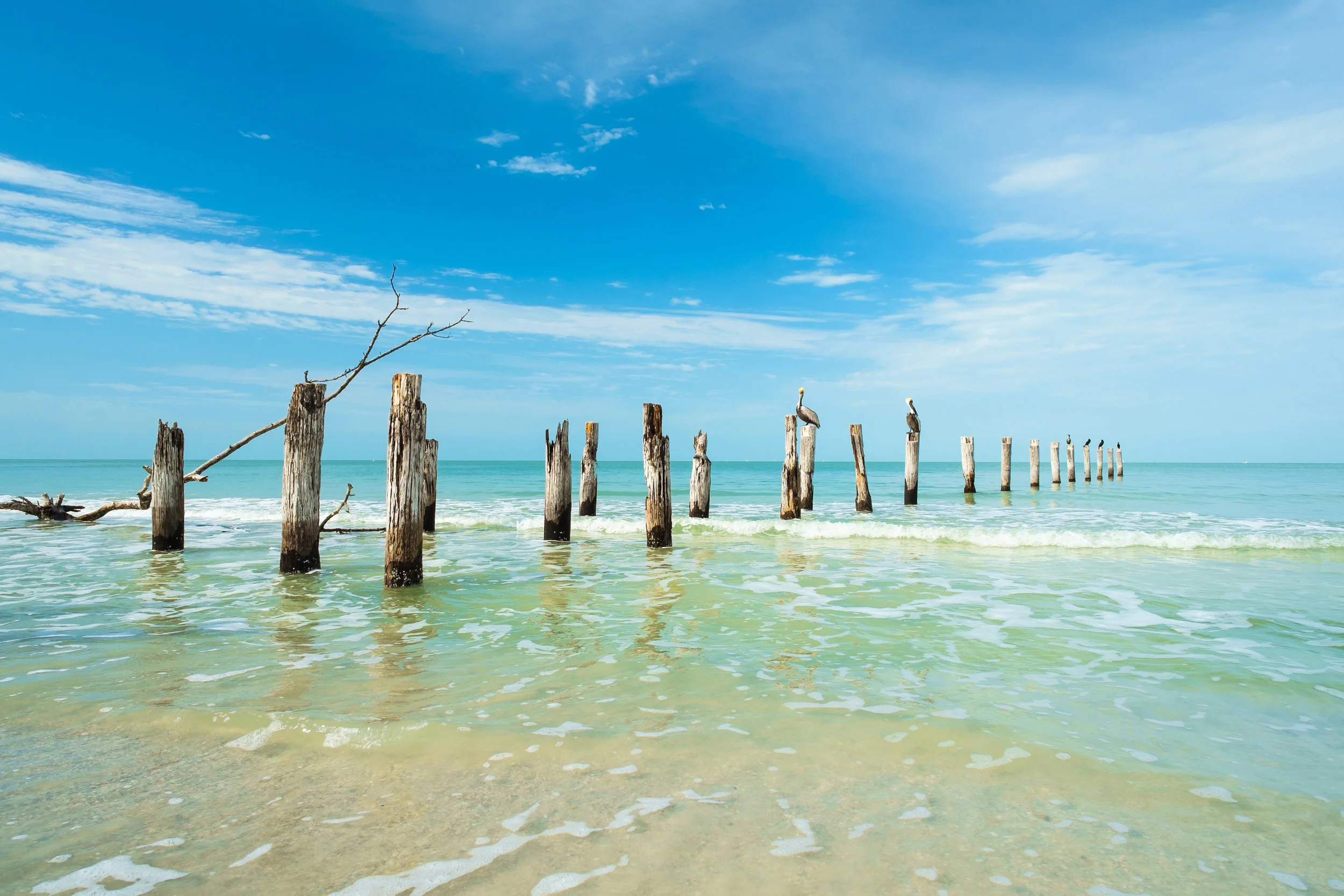 PRMG Further Expands its Southeast Territory and Opens New Retail Branch in Ft. Myers, FL!  	