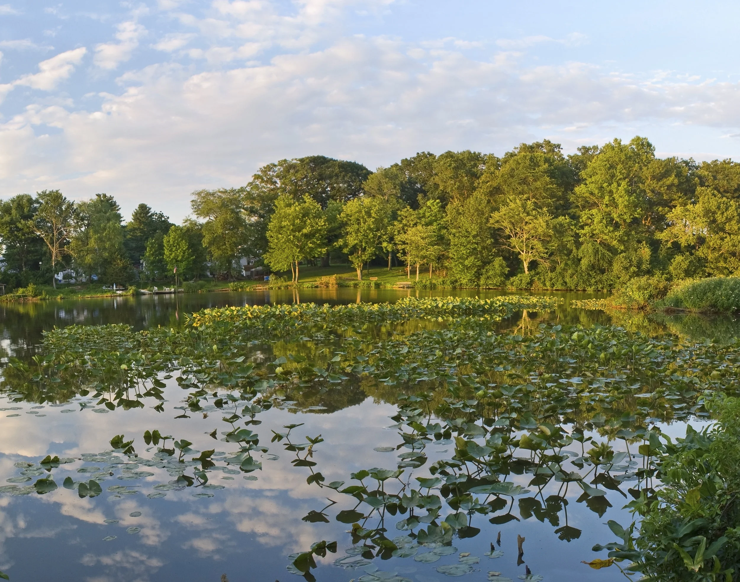 PRMG Expands its Northeast Territory with New Retail Branch in Middlesex, NJ!  	