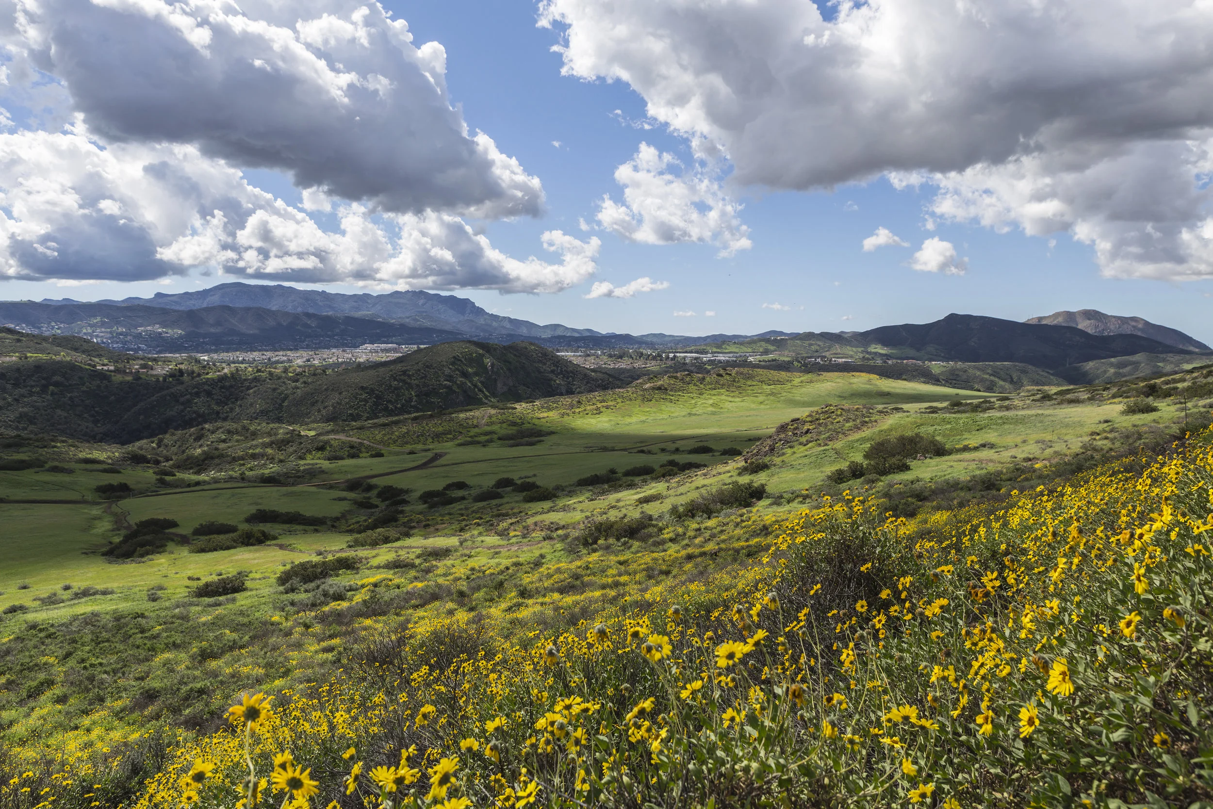 PRMG Retail Further Expands its West Coast Region and is Open for Business in Thousand Oaks, CA!