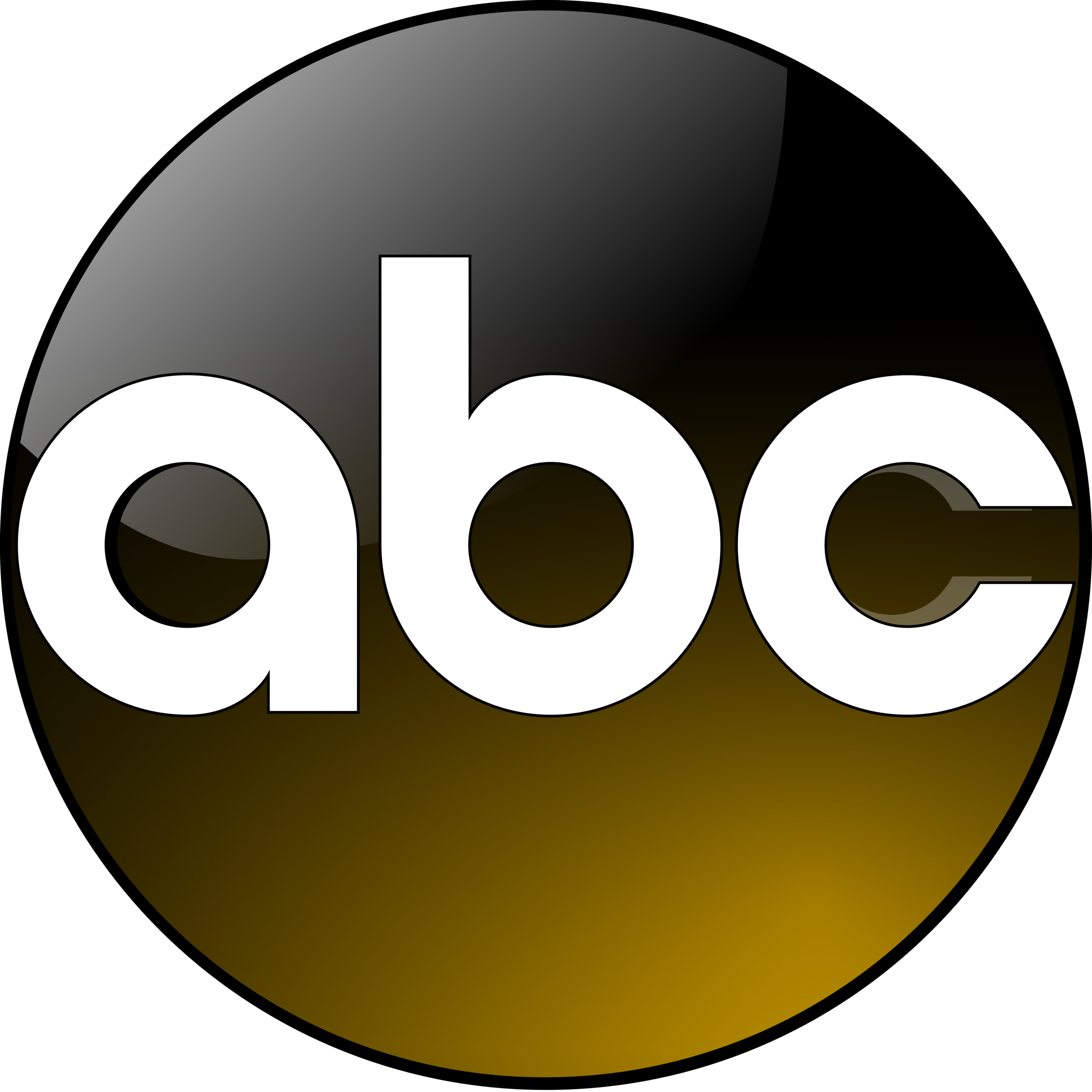 ABC News Story