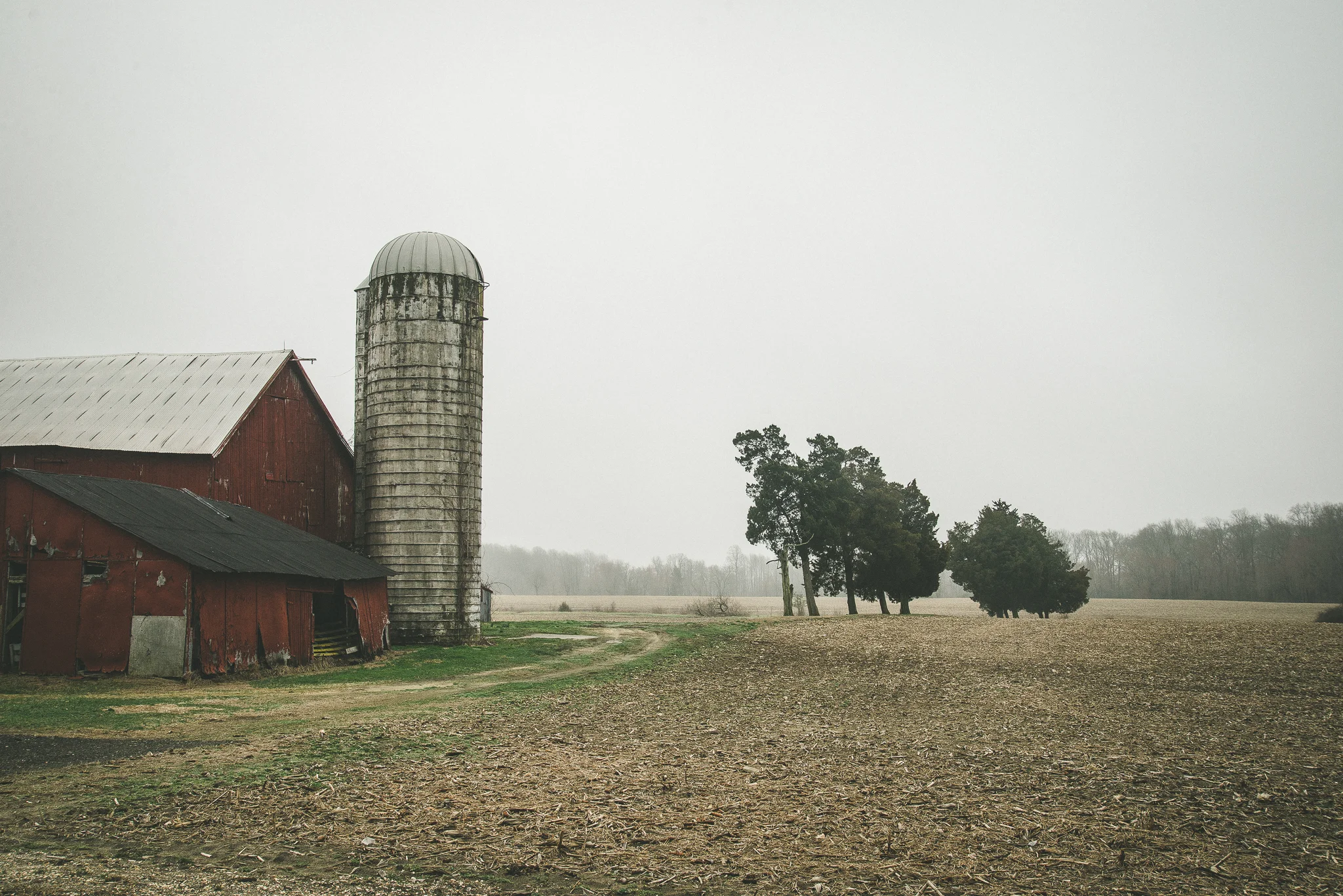 DSC_0289.jpg