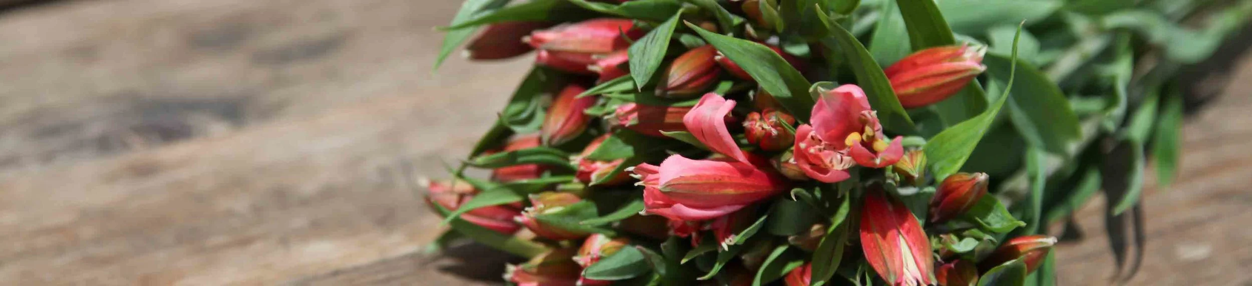 Bouquets-Banner.jpg