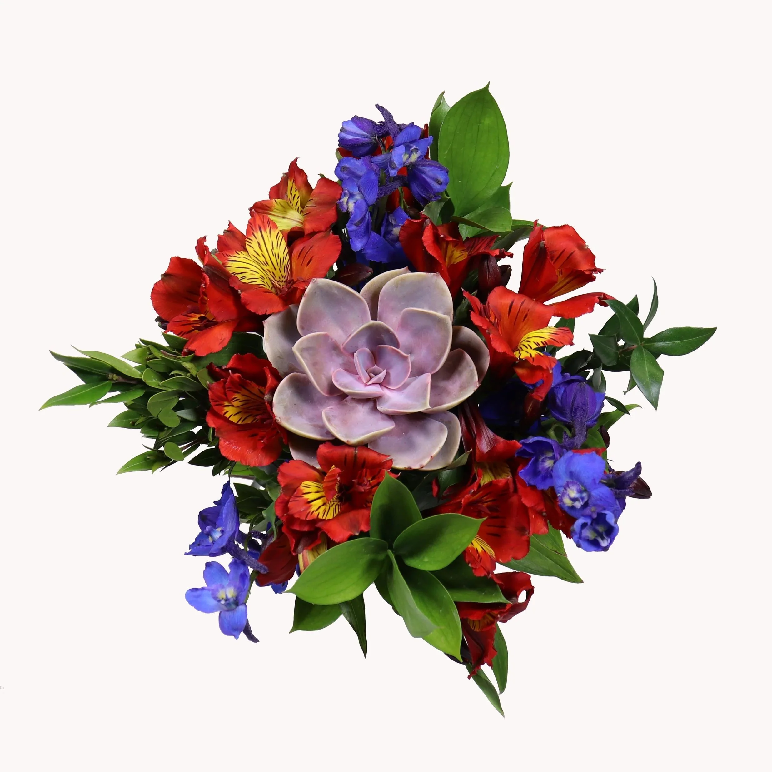 SU-012-S+%28AMERICAN+GARDEN%29.jpg