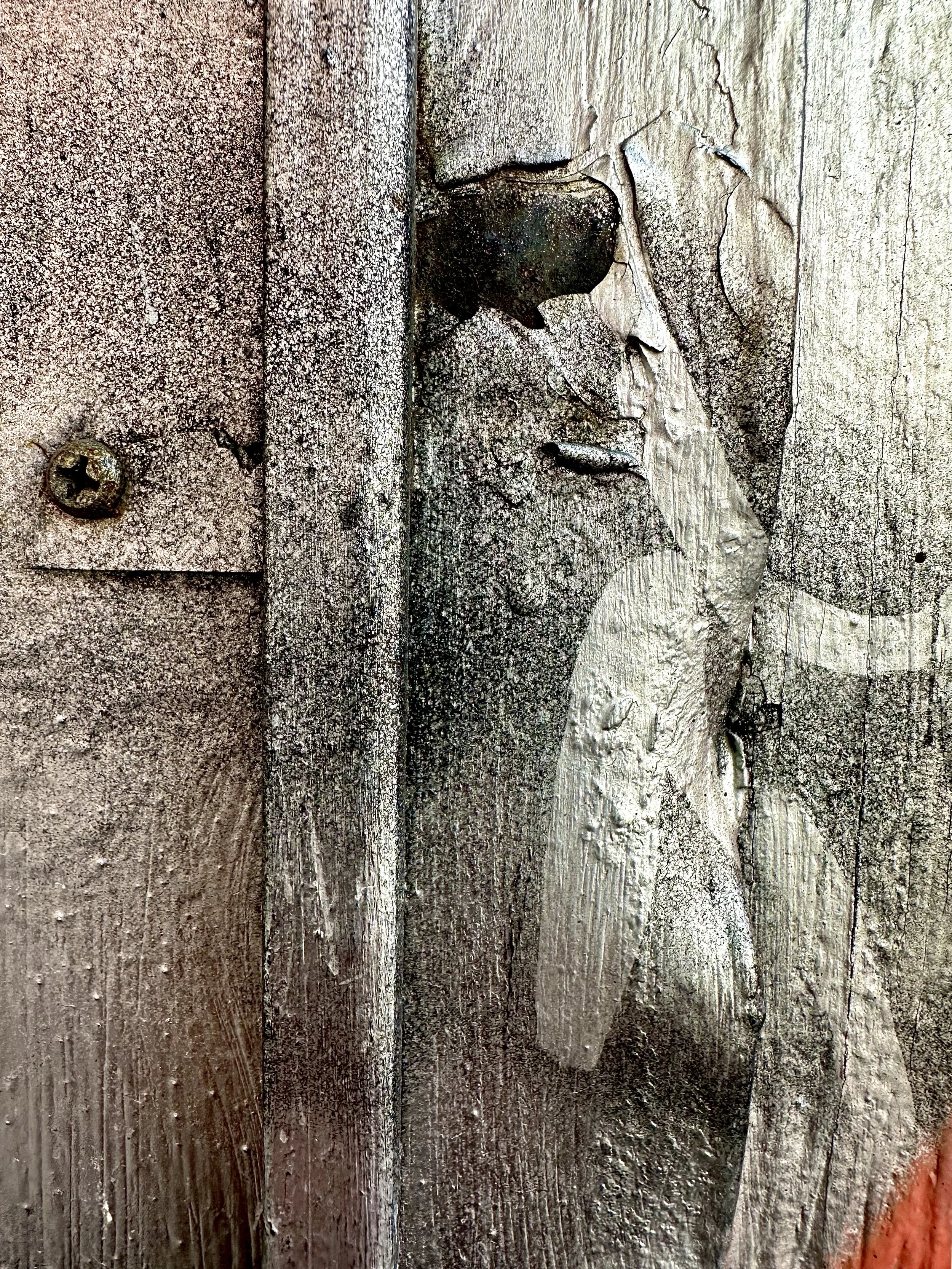 IMG_0114.jpeg