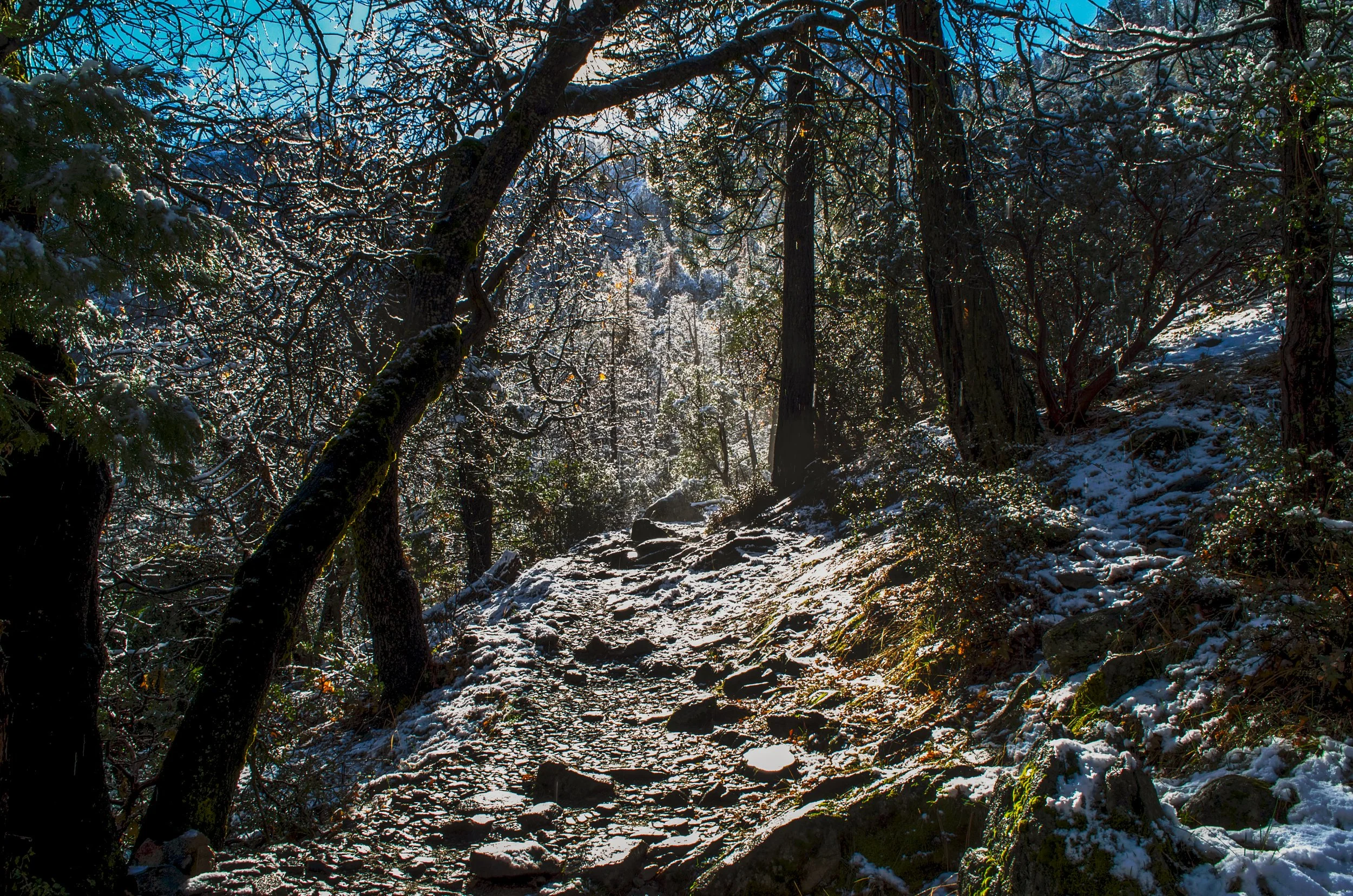 20140131YosemiteNationalPark-51-1.jpg