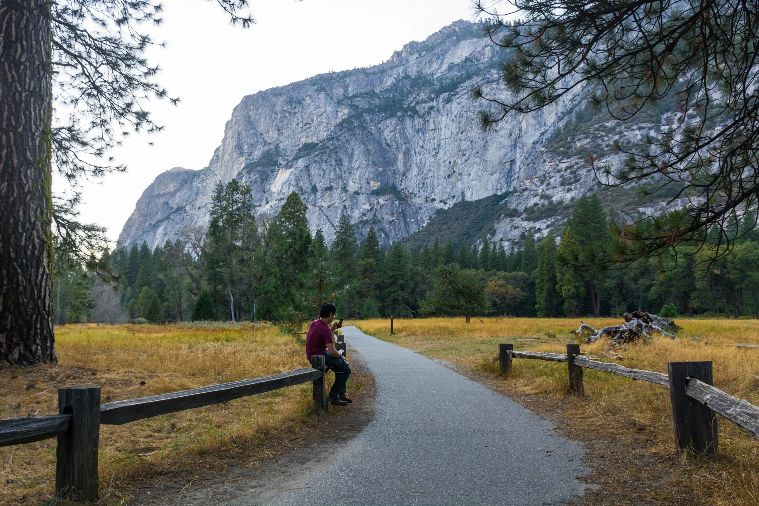 20150918YosemiteNationalPark-325-1.jpg