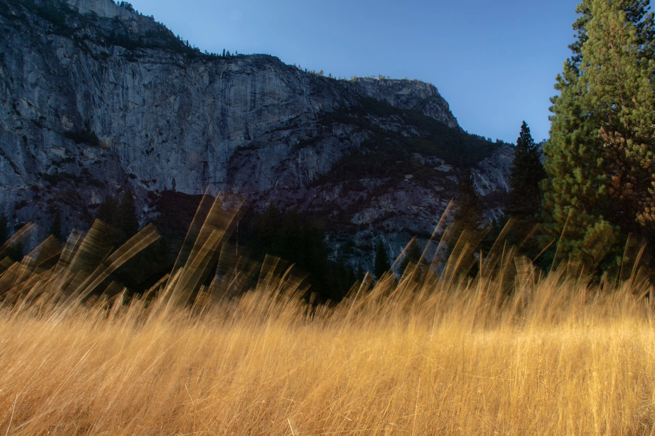 20150918YosemiteNationalPark-298-1.jpg