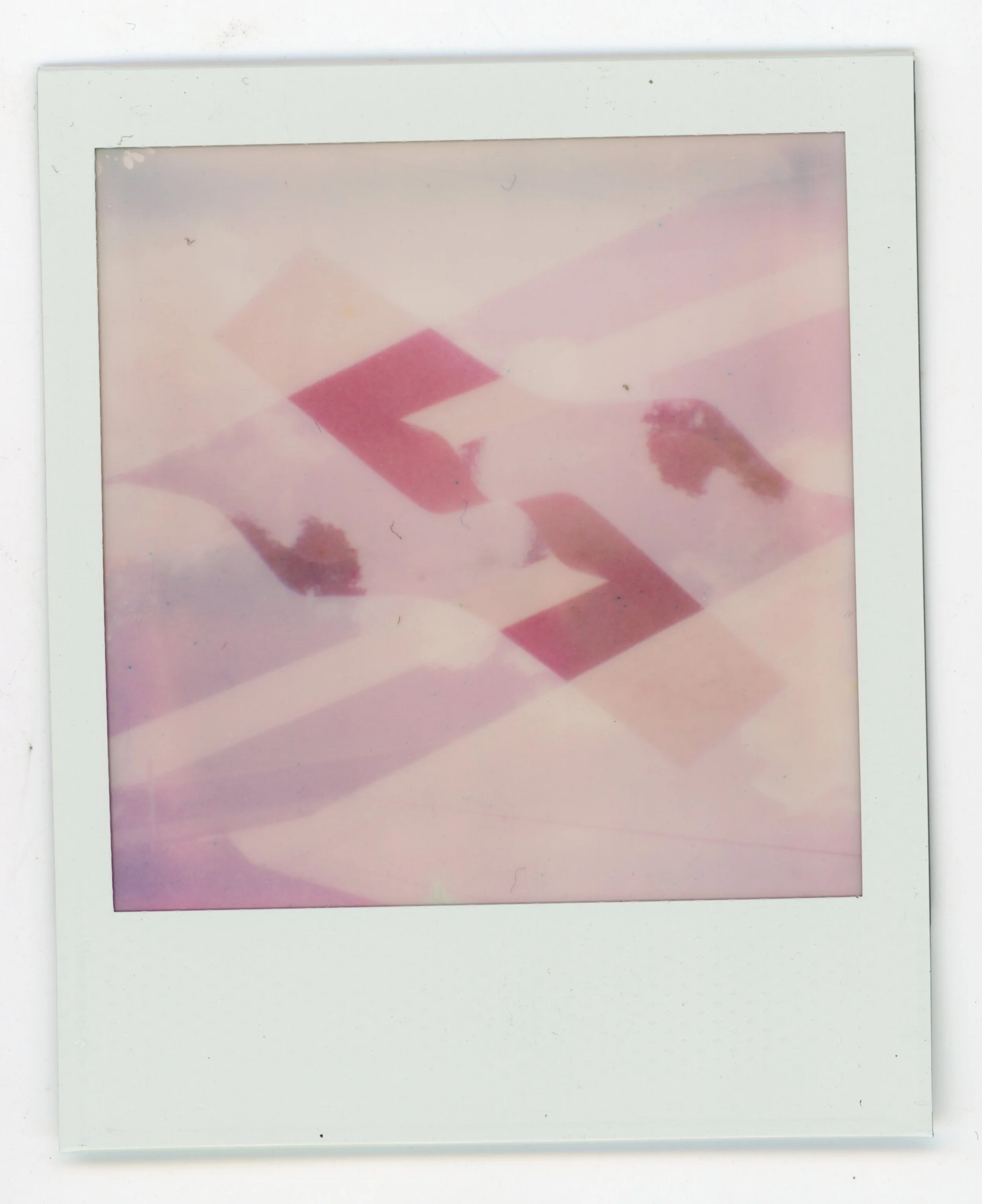 Polaroid_Go_Ibirapuera_01.jpg