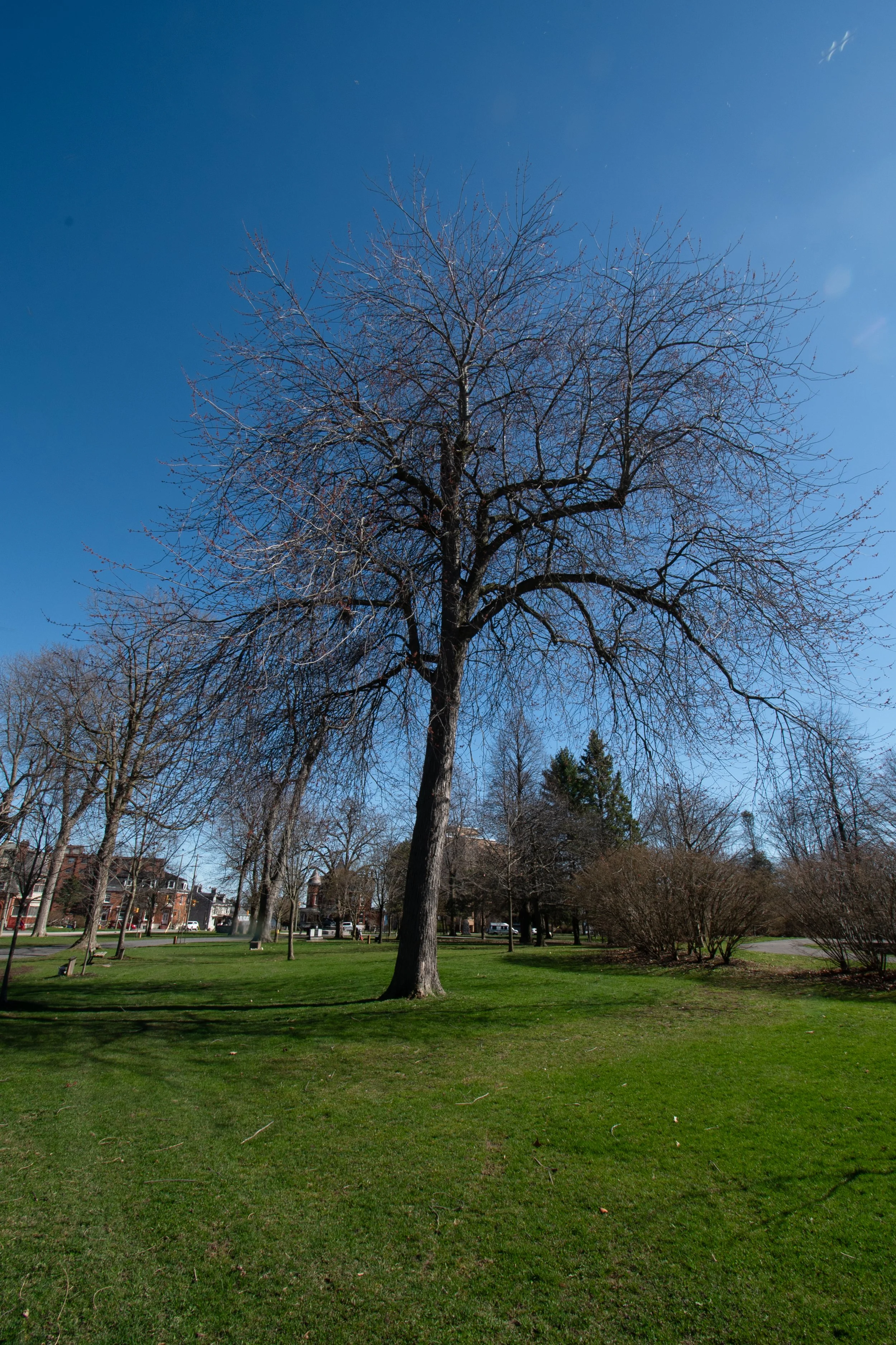 20240416KingstonD750-495-1.jpg