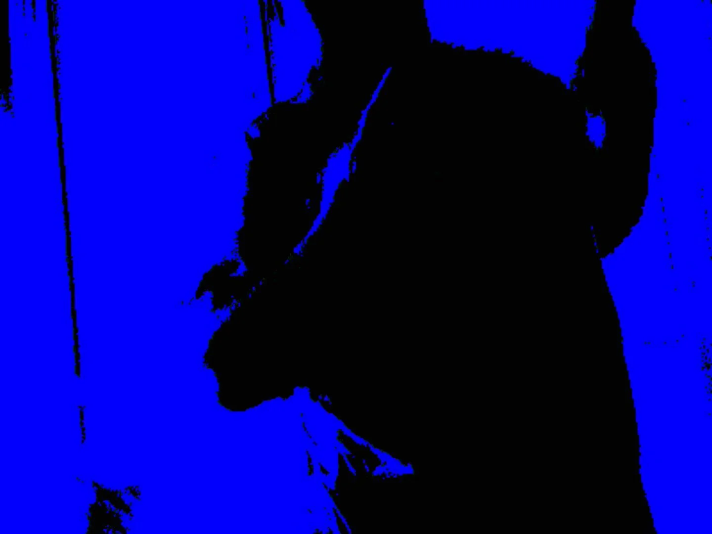 PICT0018.jpg