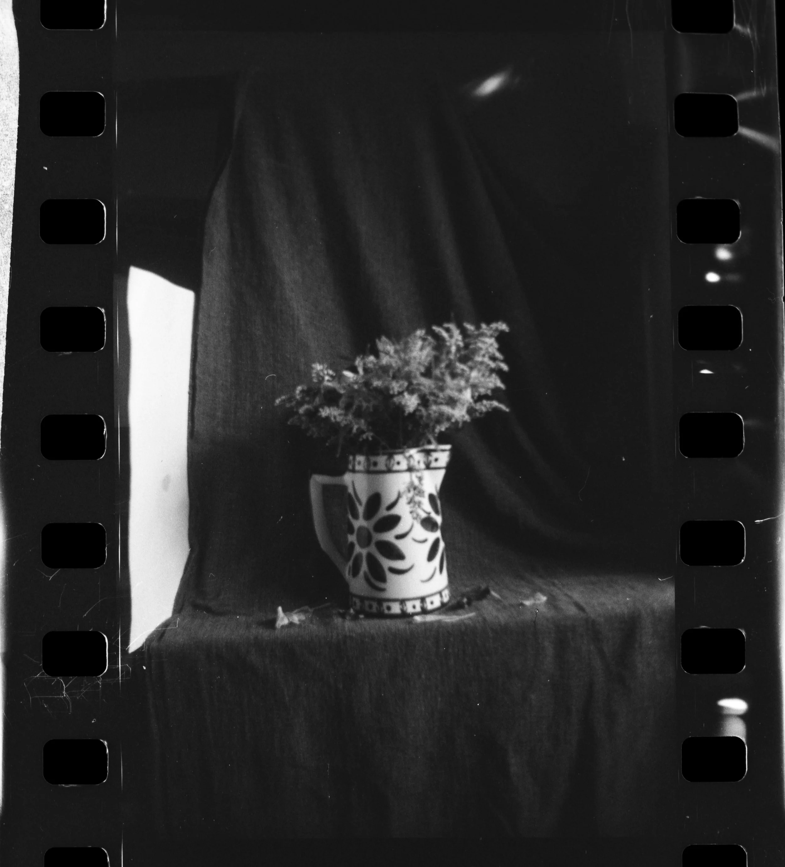 Olympus_Shoot&Go_Foma_200_01-1.jpg