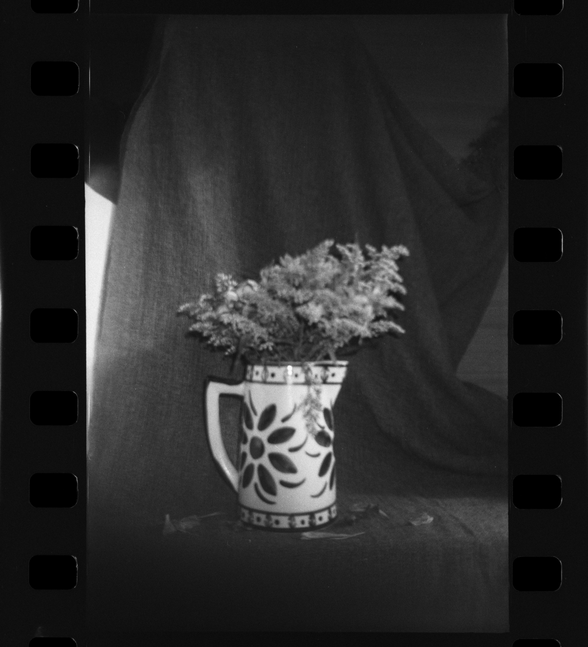 Olympus_Shoot&Go_Foma_200_03-1.jpg