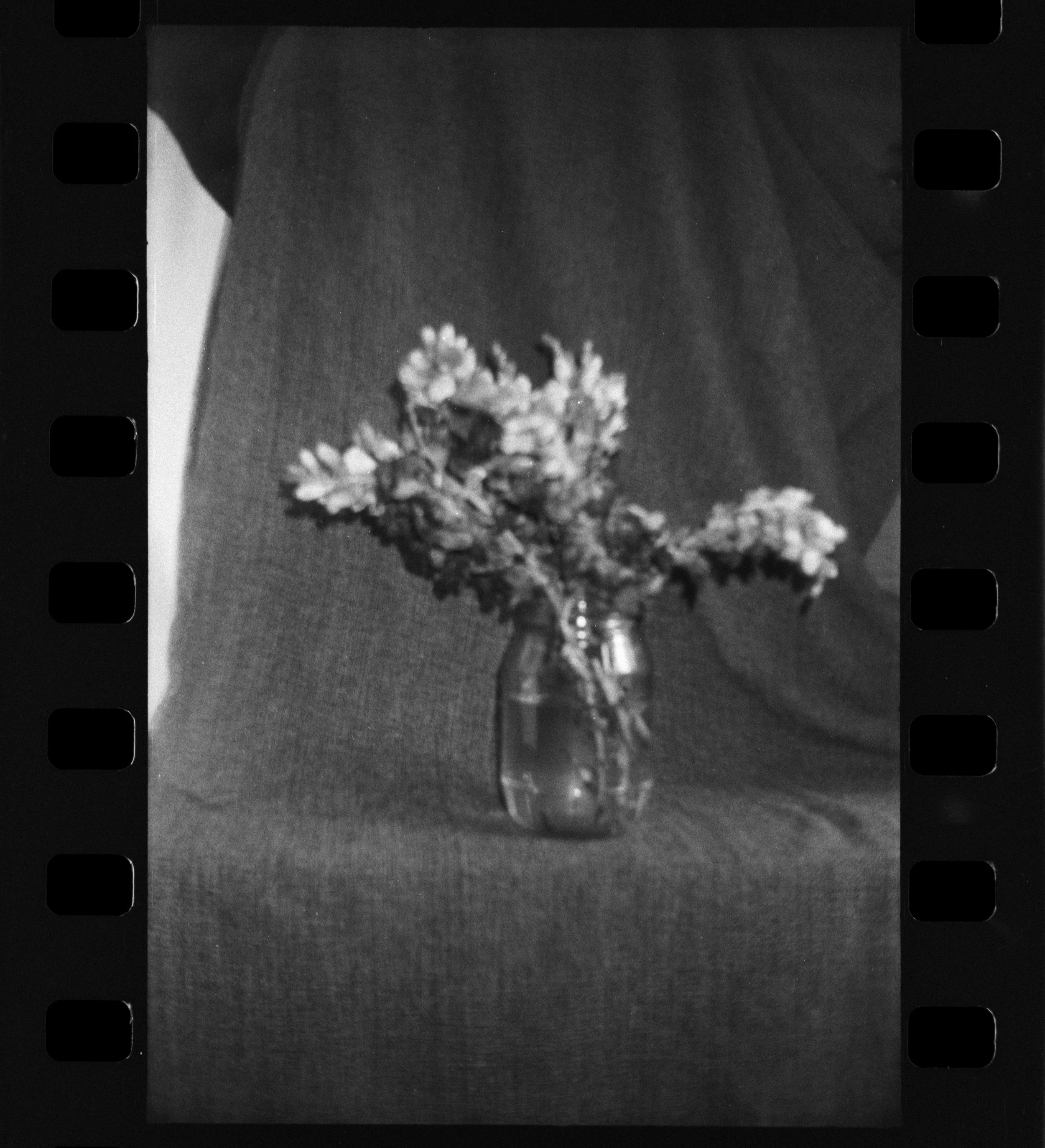 Olympus_Shoot&Go_Foma_200_04-1.jpg