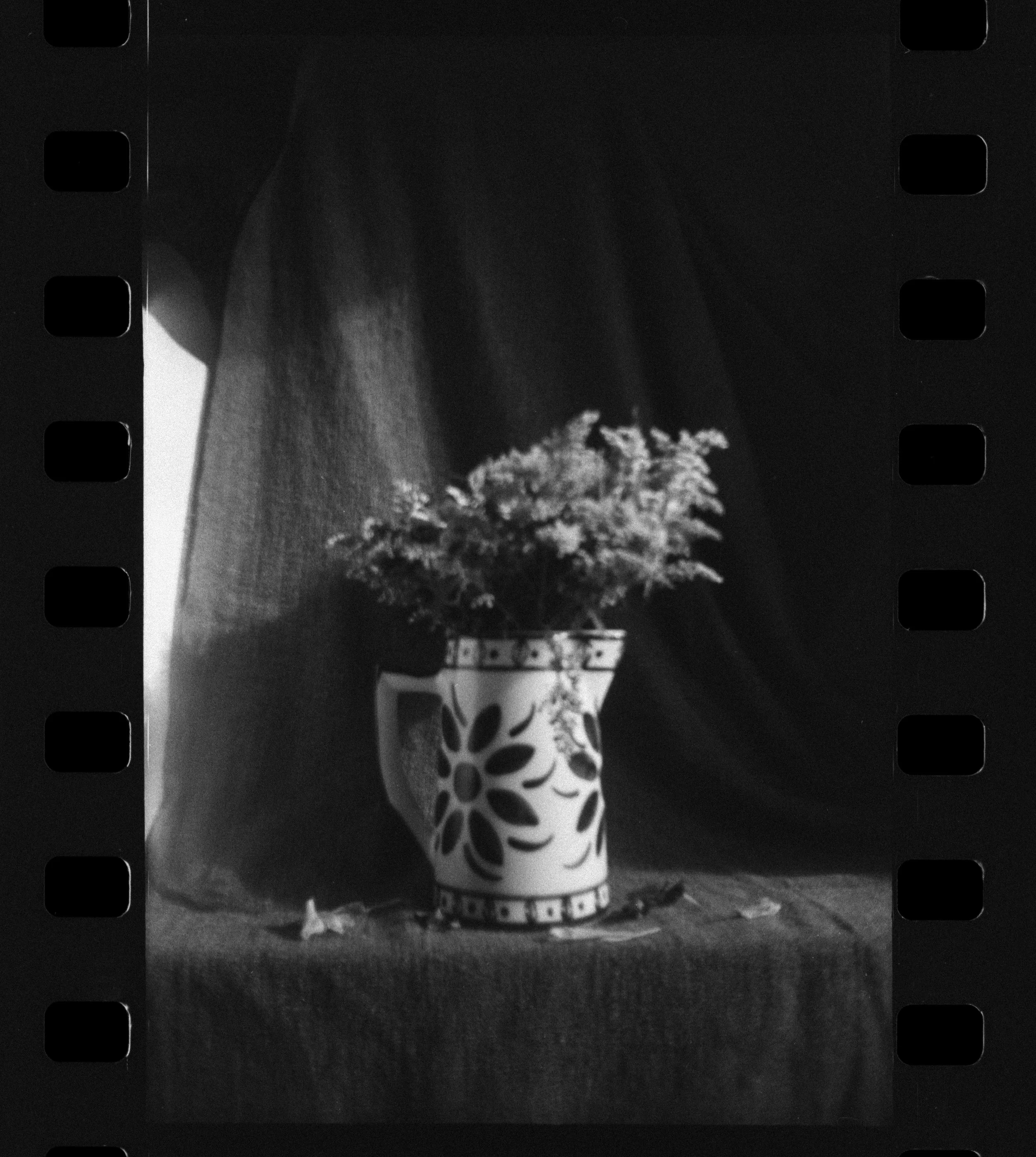 Olympus_Shoot&Go_Foma_200_02-1.jpg