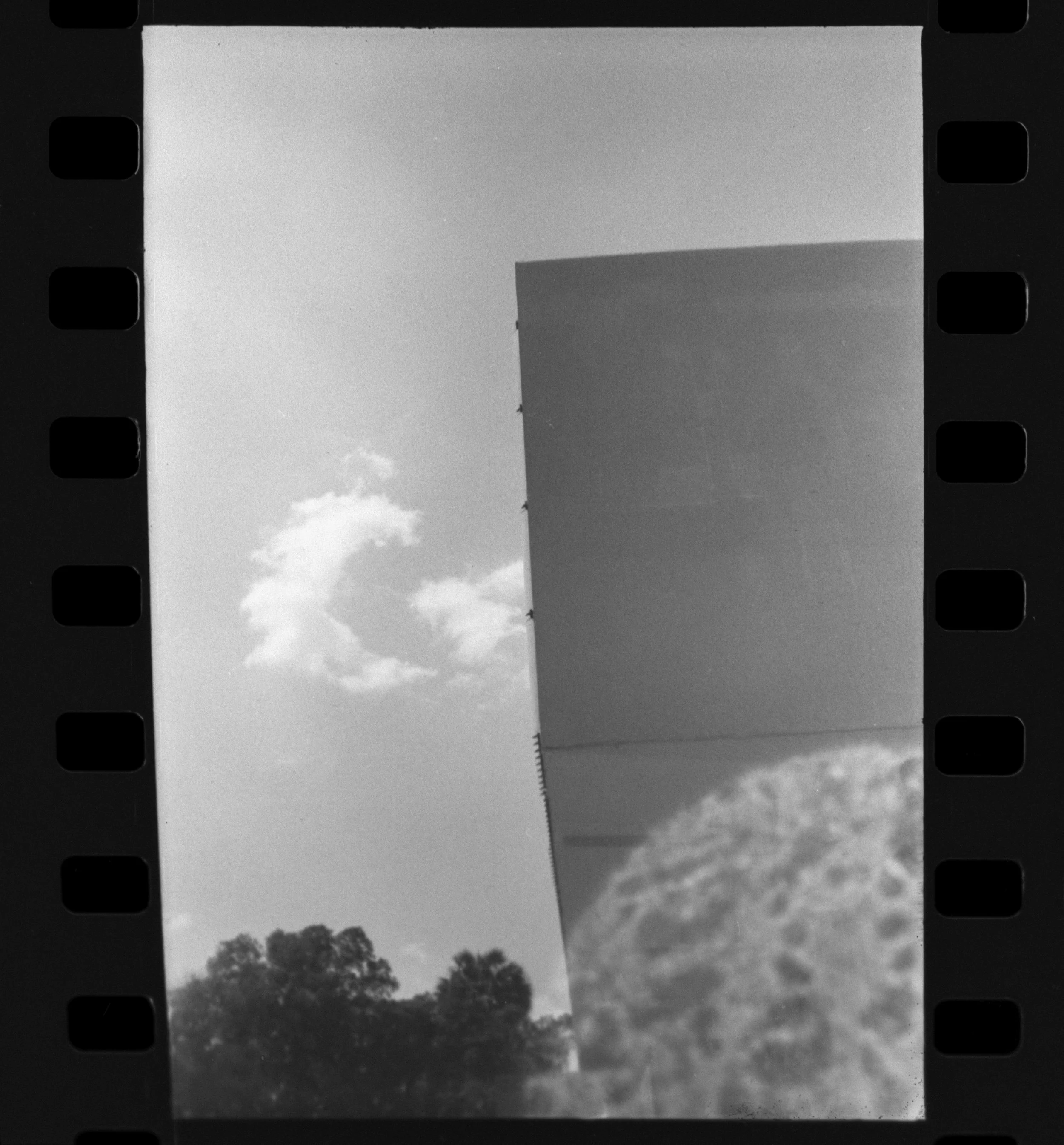 Olympus_Shoot&Go_Foma_200_06-1.jpg