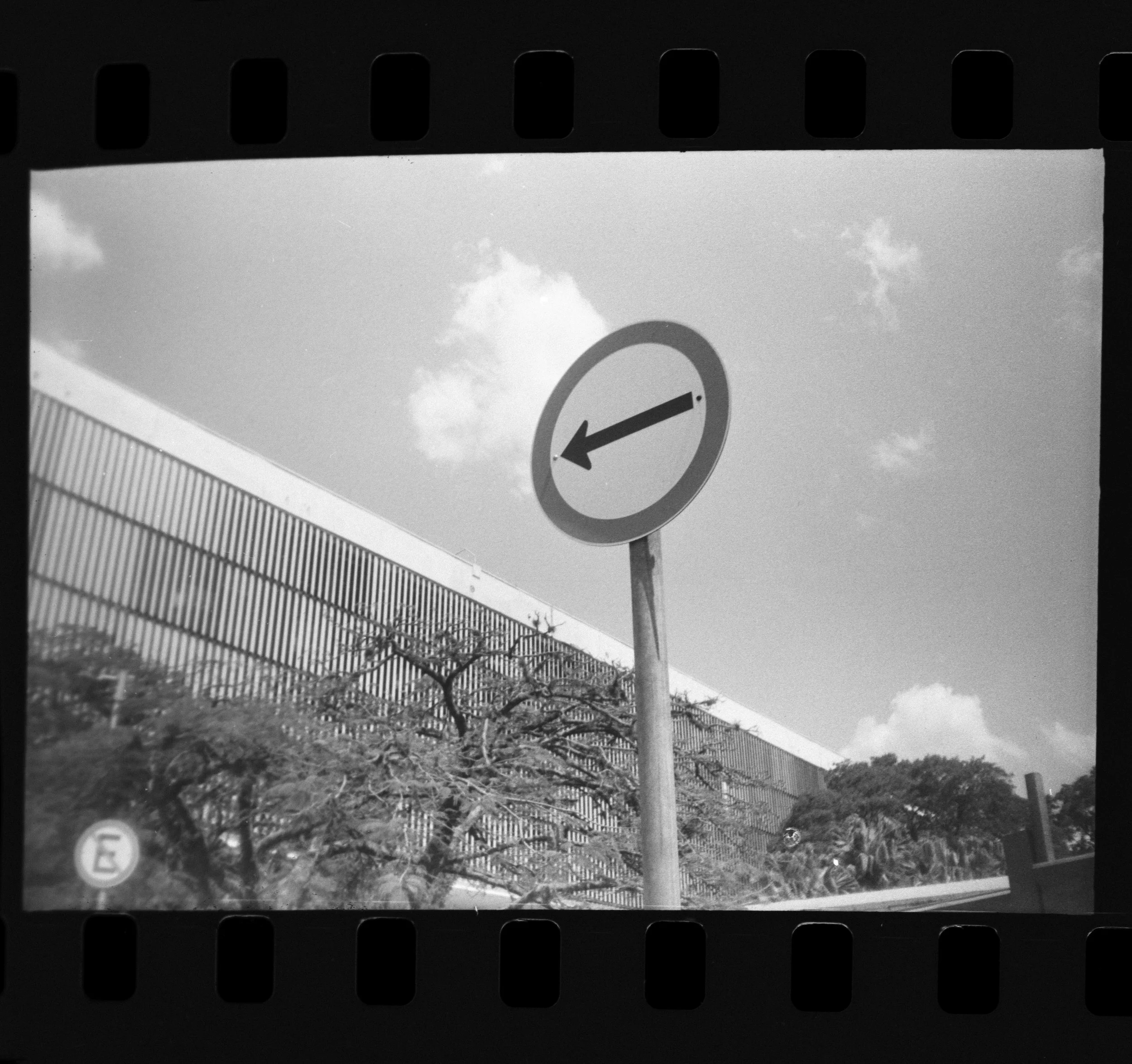 Olympus_Shoot&Go_Foma_200_07-1.jpg