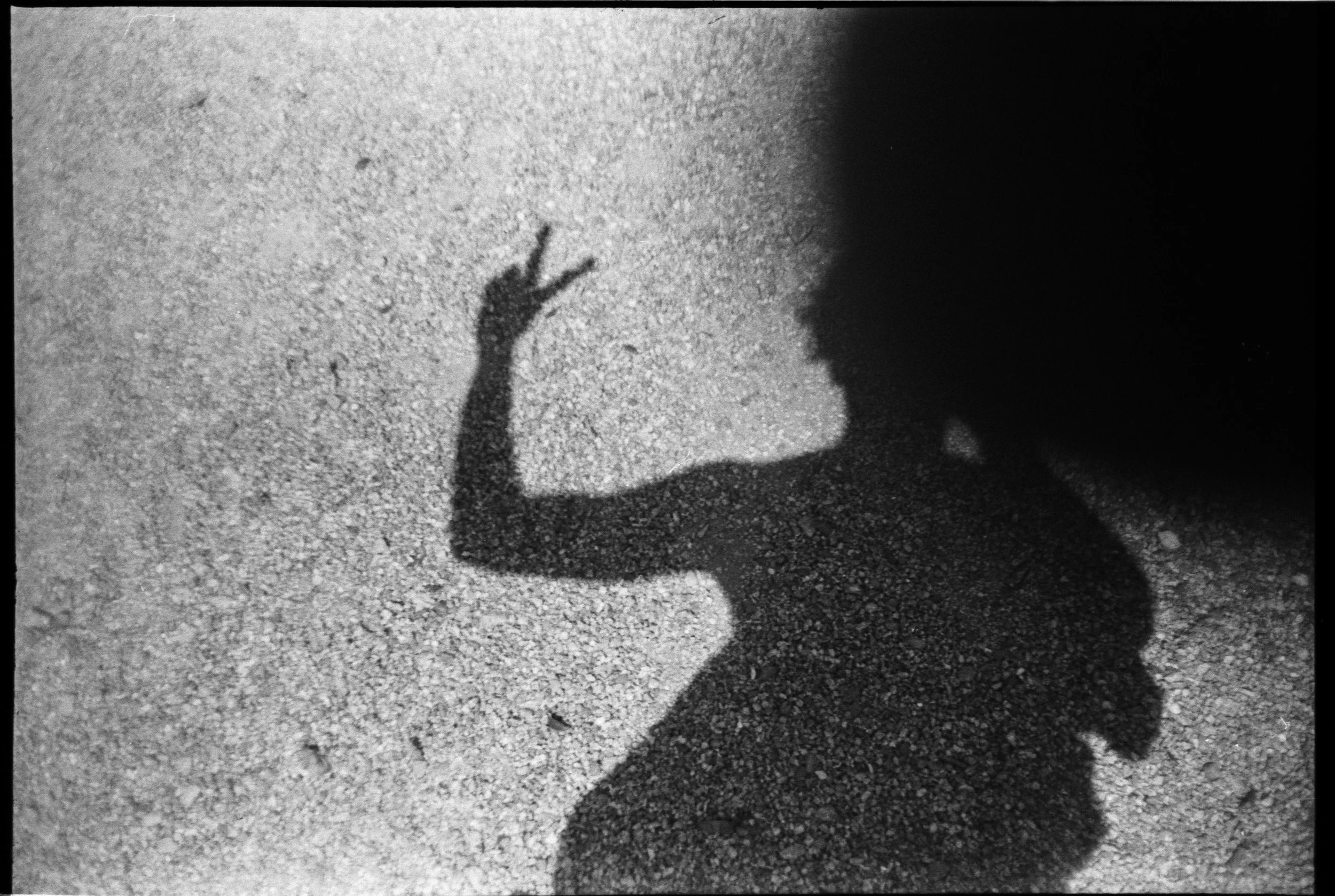Olympus_Shoot&Go_Foma_200_13-1.jpg