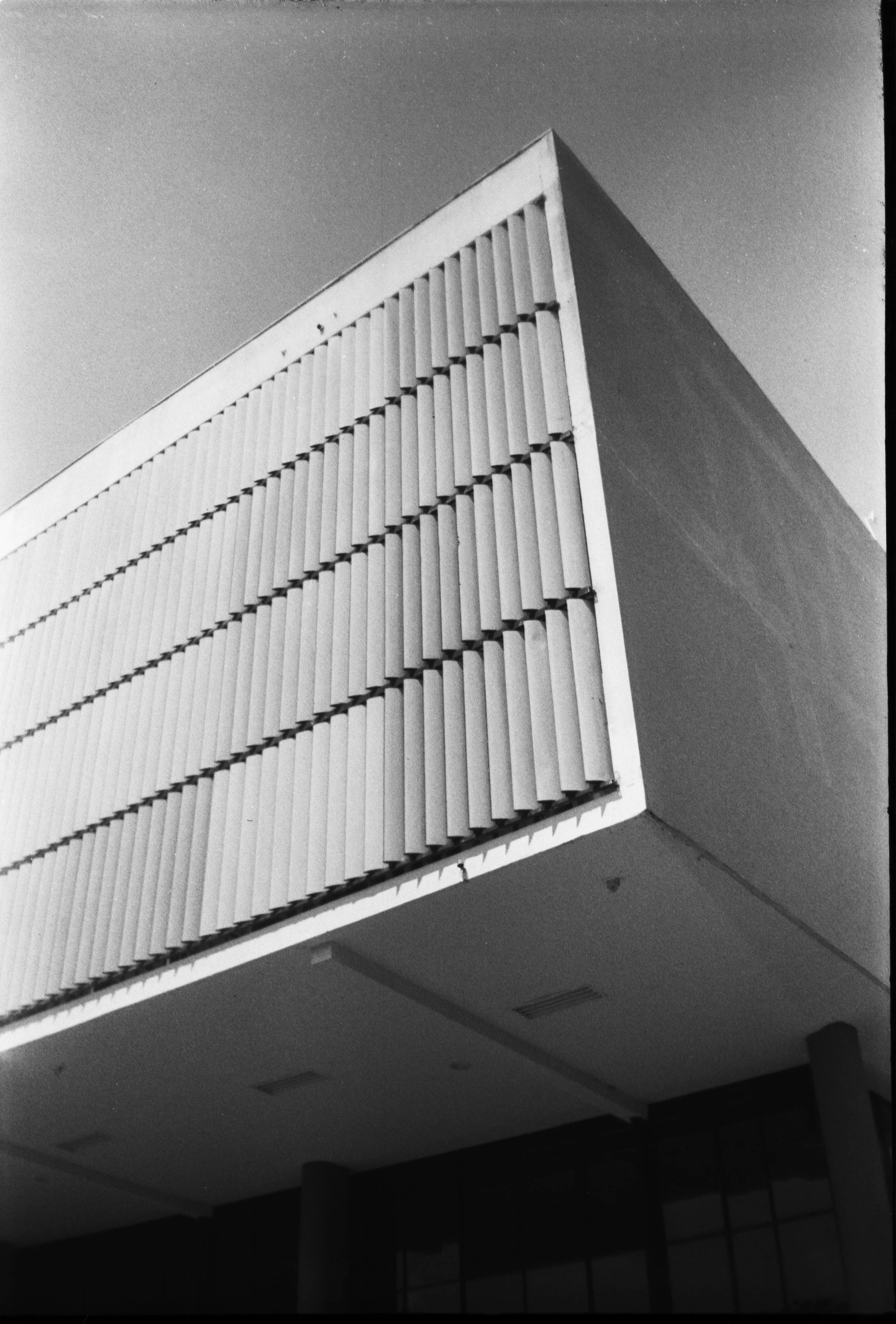 Olympus_Shoot&Go_Foma_200_18-1.jpg