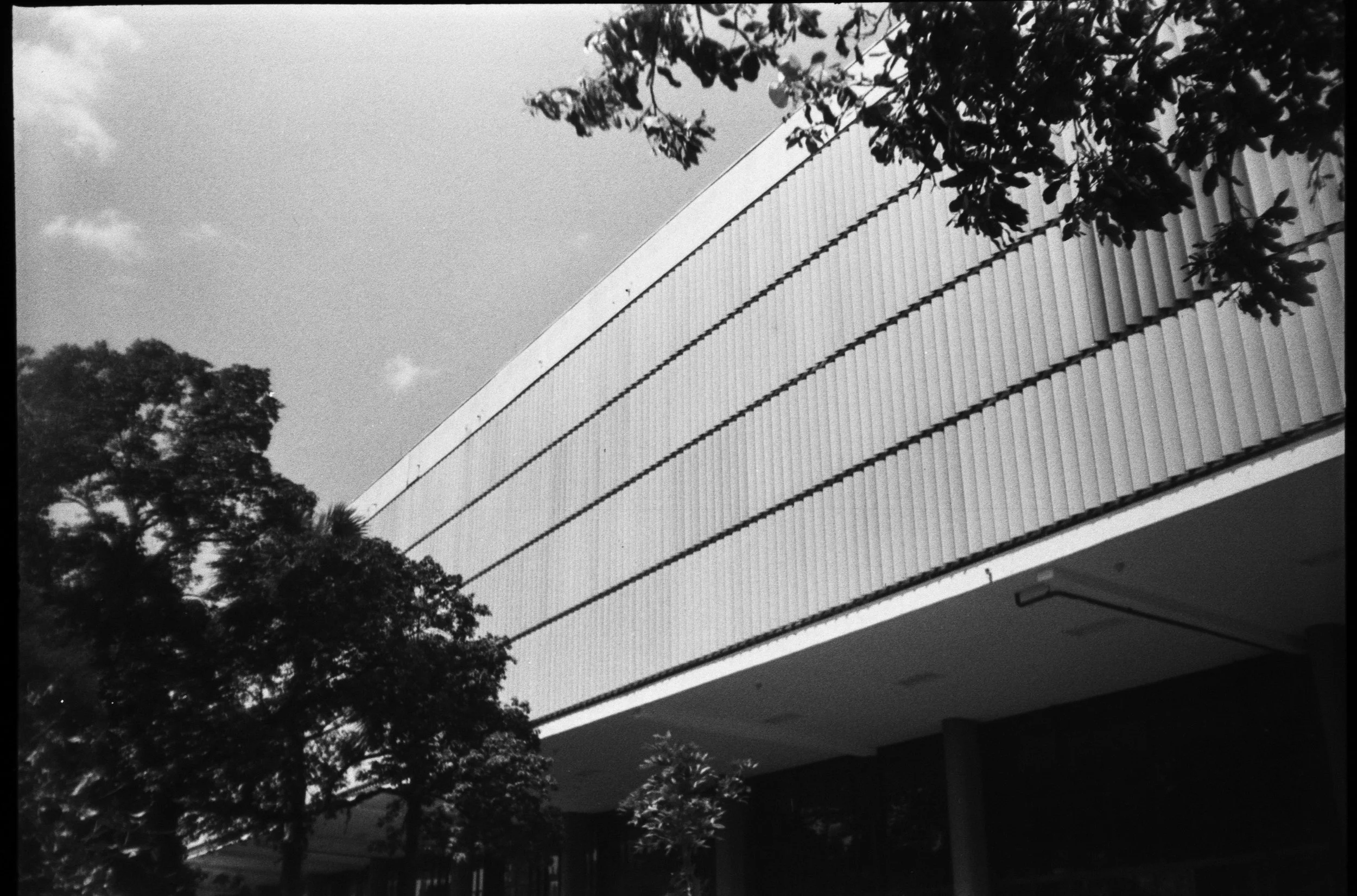 Olympus_Shoot&Go_Foma_200_19-1.jpg
