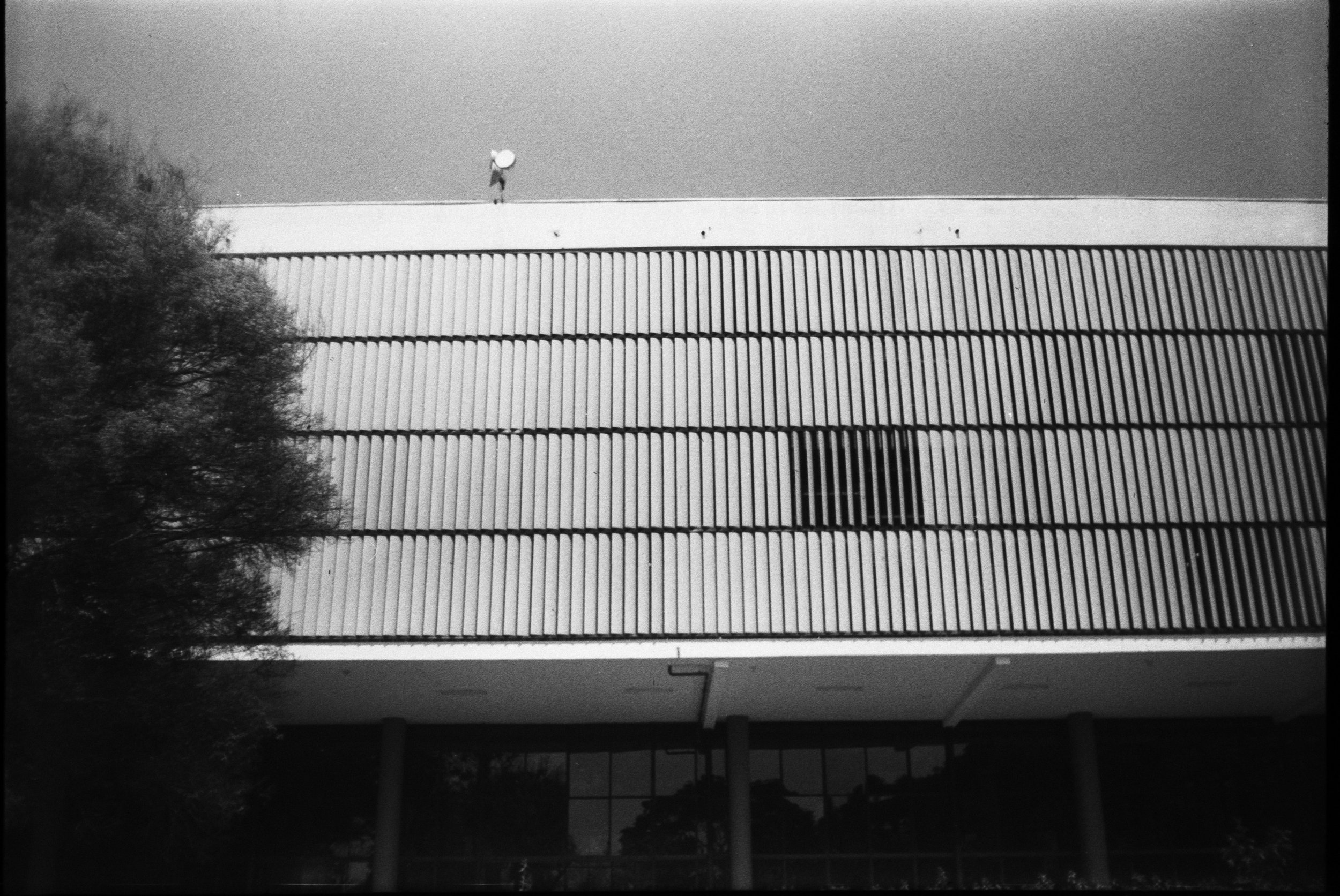 Olympus_Shoot&Go_Foma_200_20-1.jpg