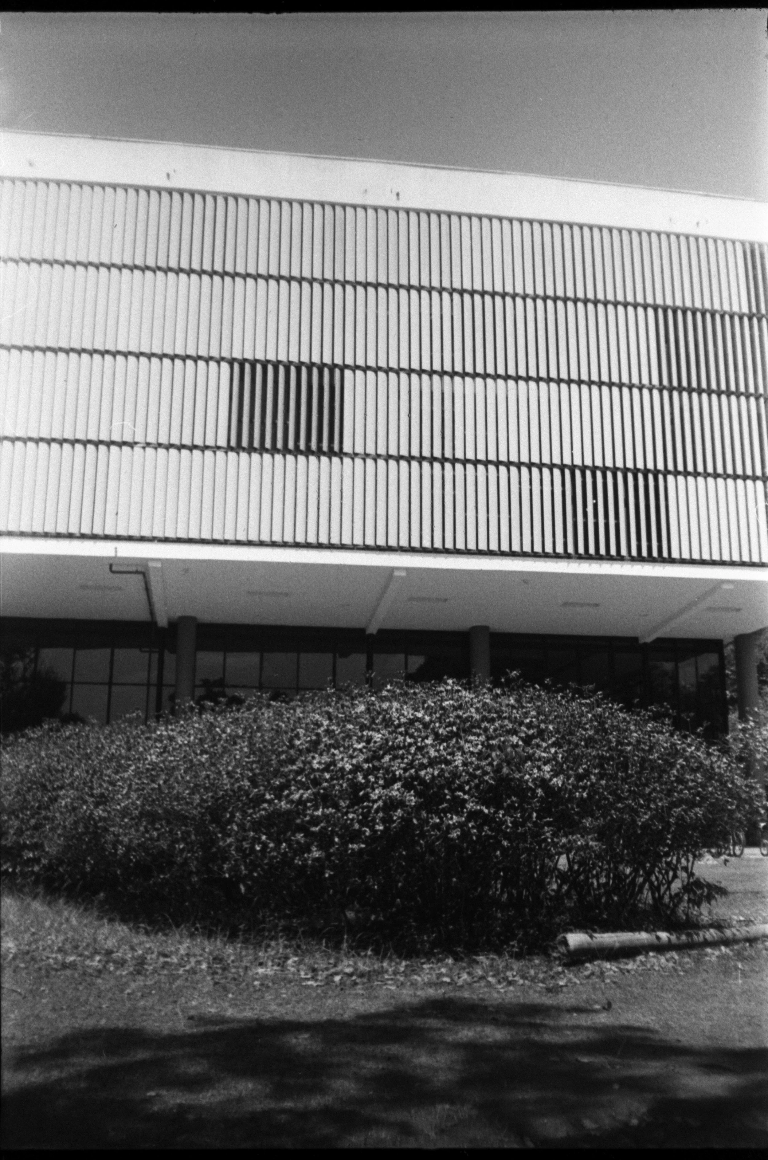 Olympus_Shoot&Go_Foma_200_21-1.jpg