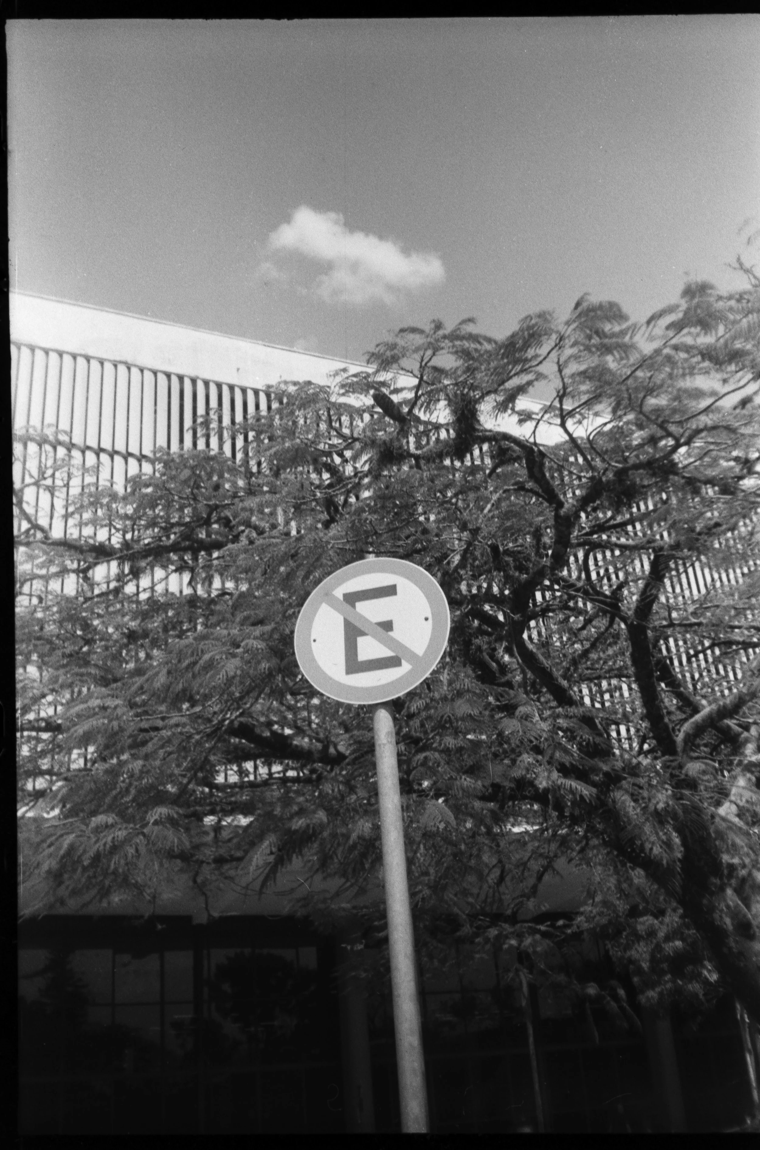 Olympus_Shoot&Go_Foma_200_23-1.jpg
