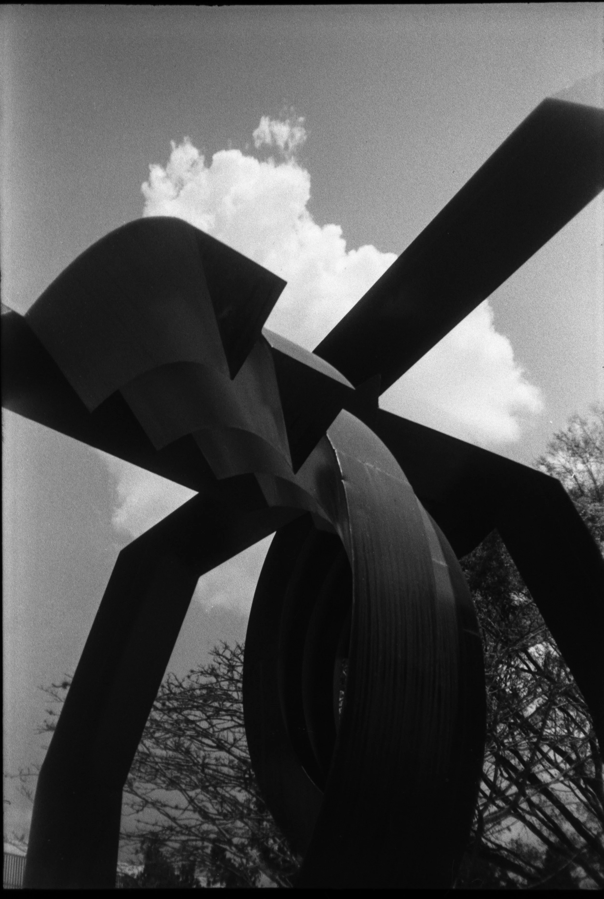 Olympus_Shoot&Go_Foma_200_24-1.jpg