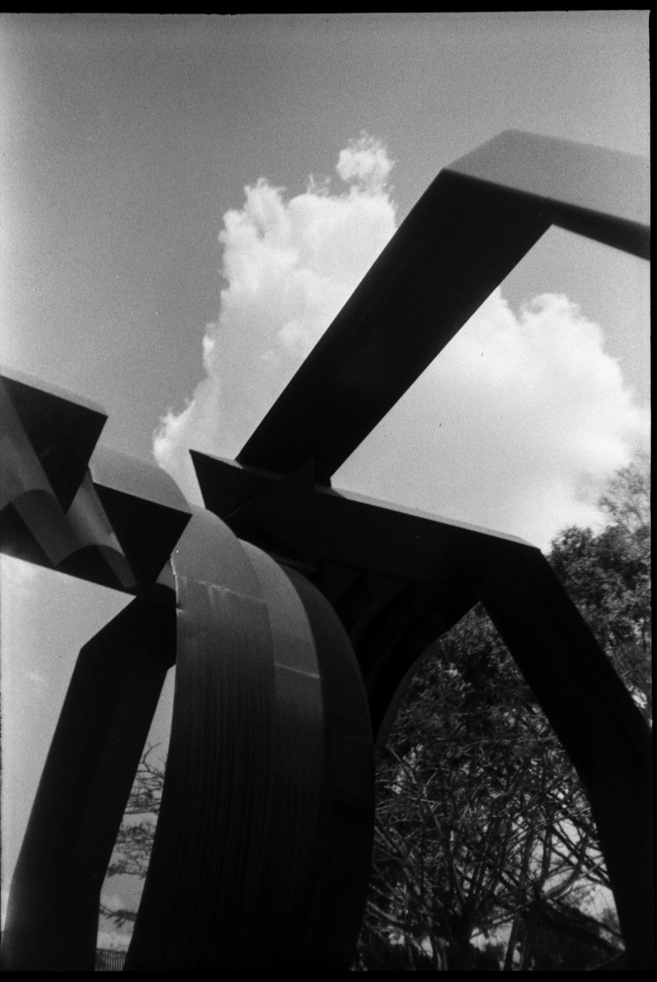 Olympus_Shoot&Go_Foma_200_25-1.jpg