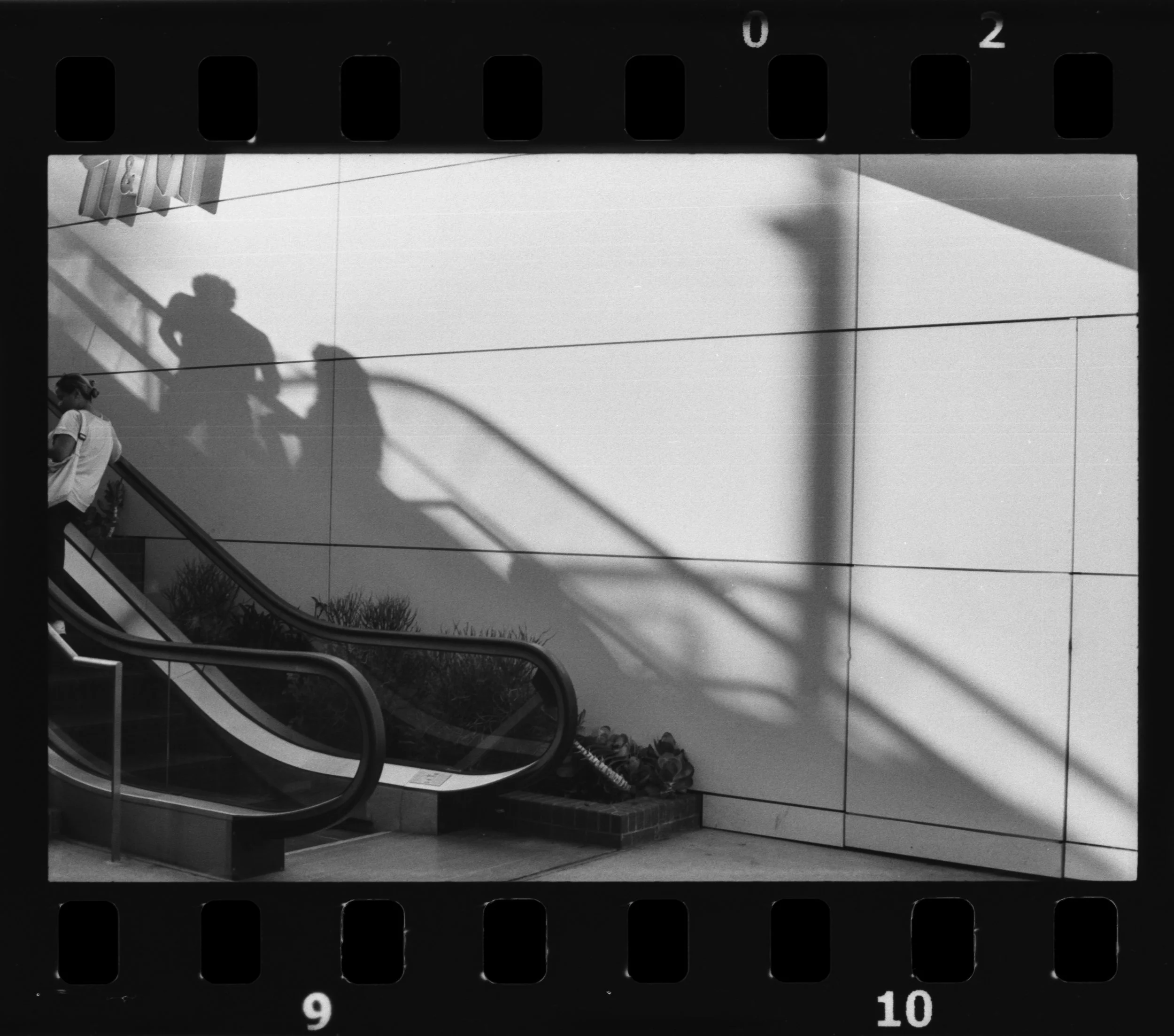 Nikon_F100_Arista_Ultra_100_LA_05-1.jpg