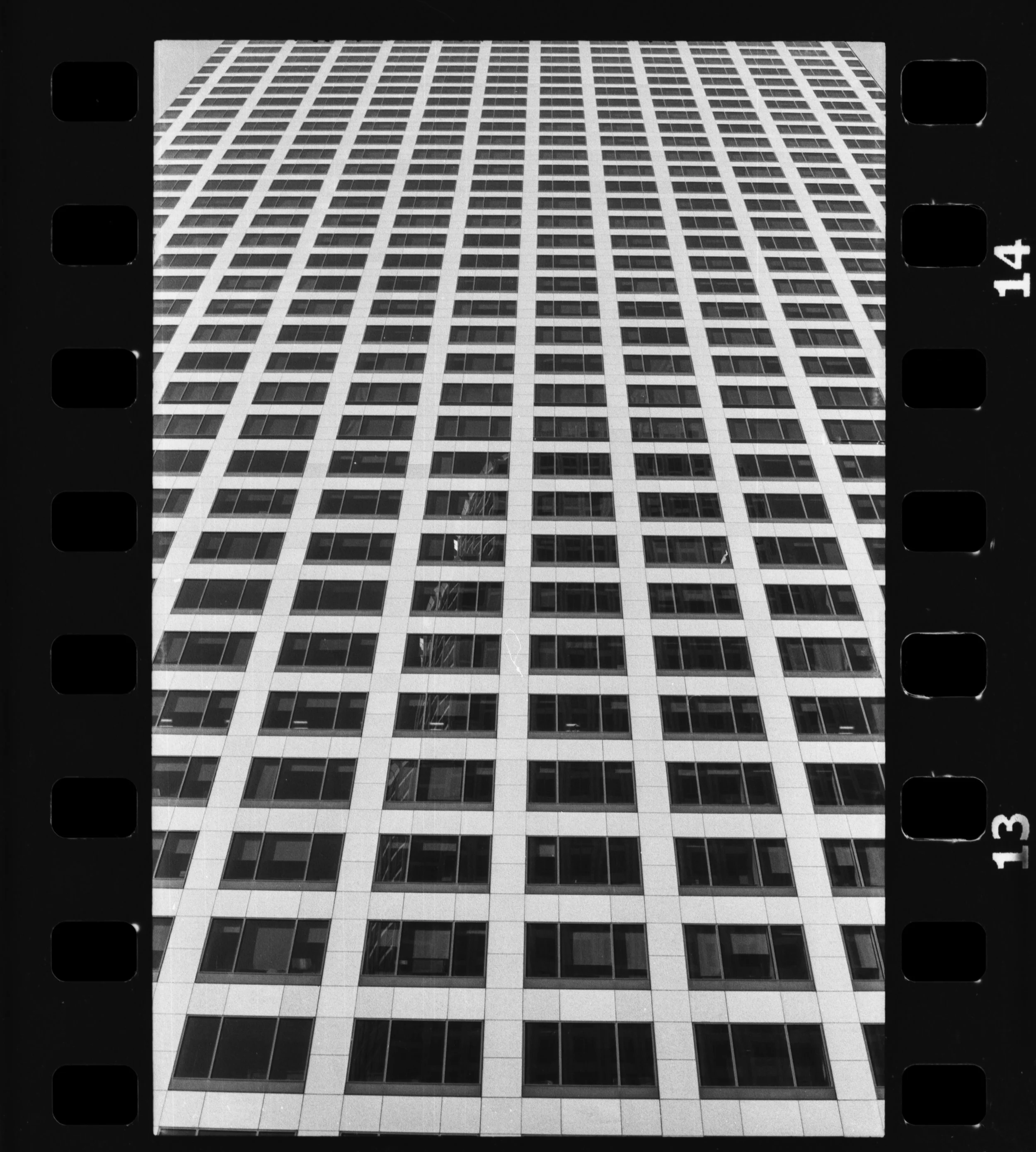 Nikon_F100_Arista_Ultra_100_LA_07-1.jpg