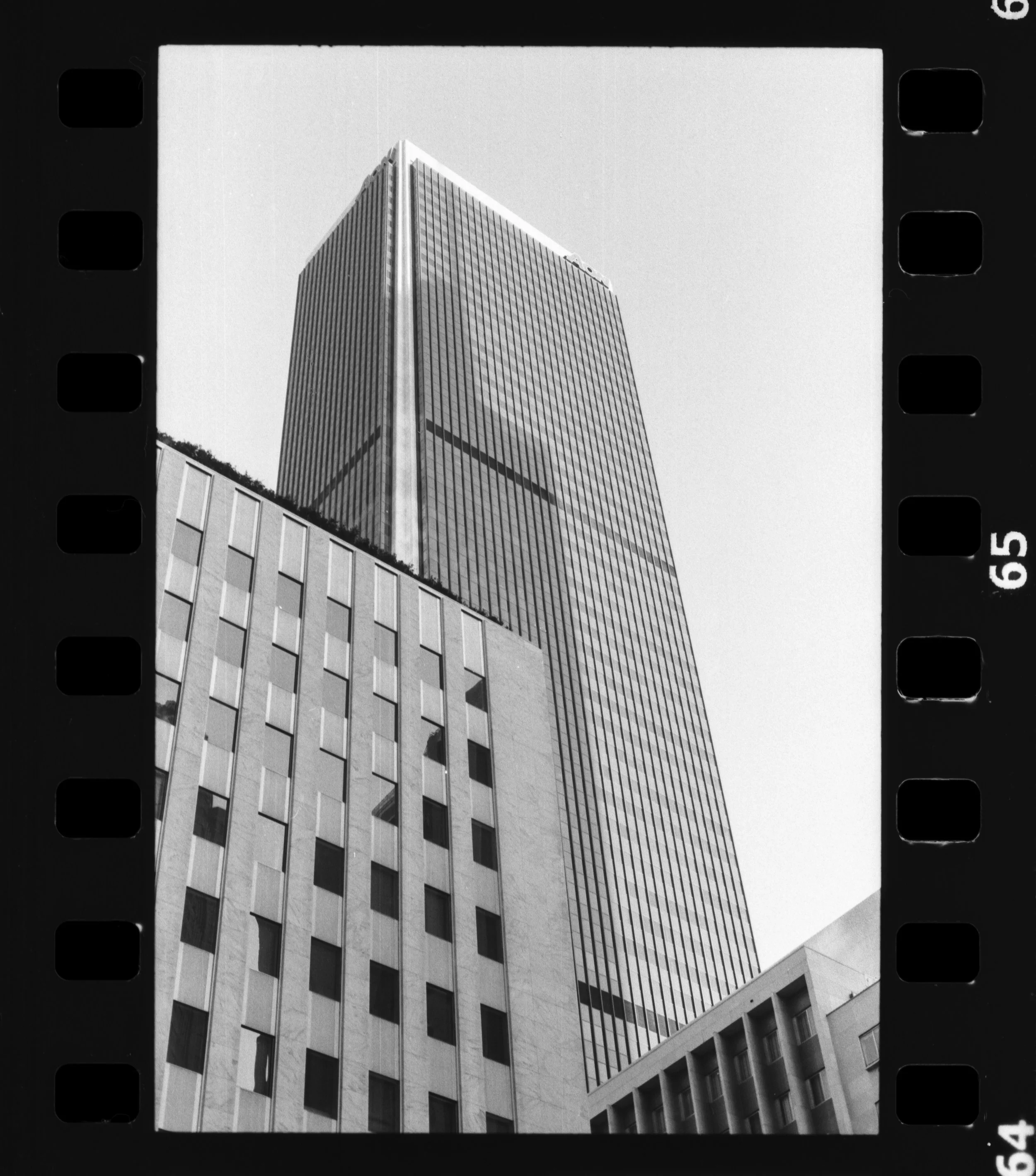 Nikon_F100_Arista_Ultra_100_LA_33-1.jpg