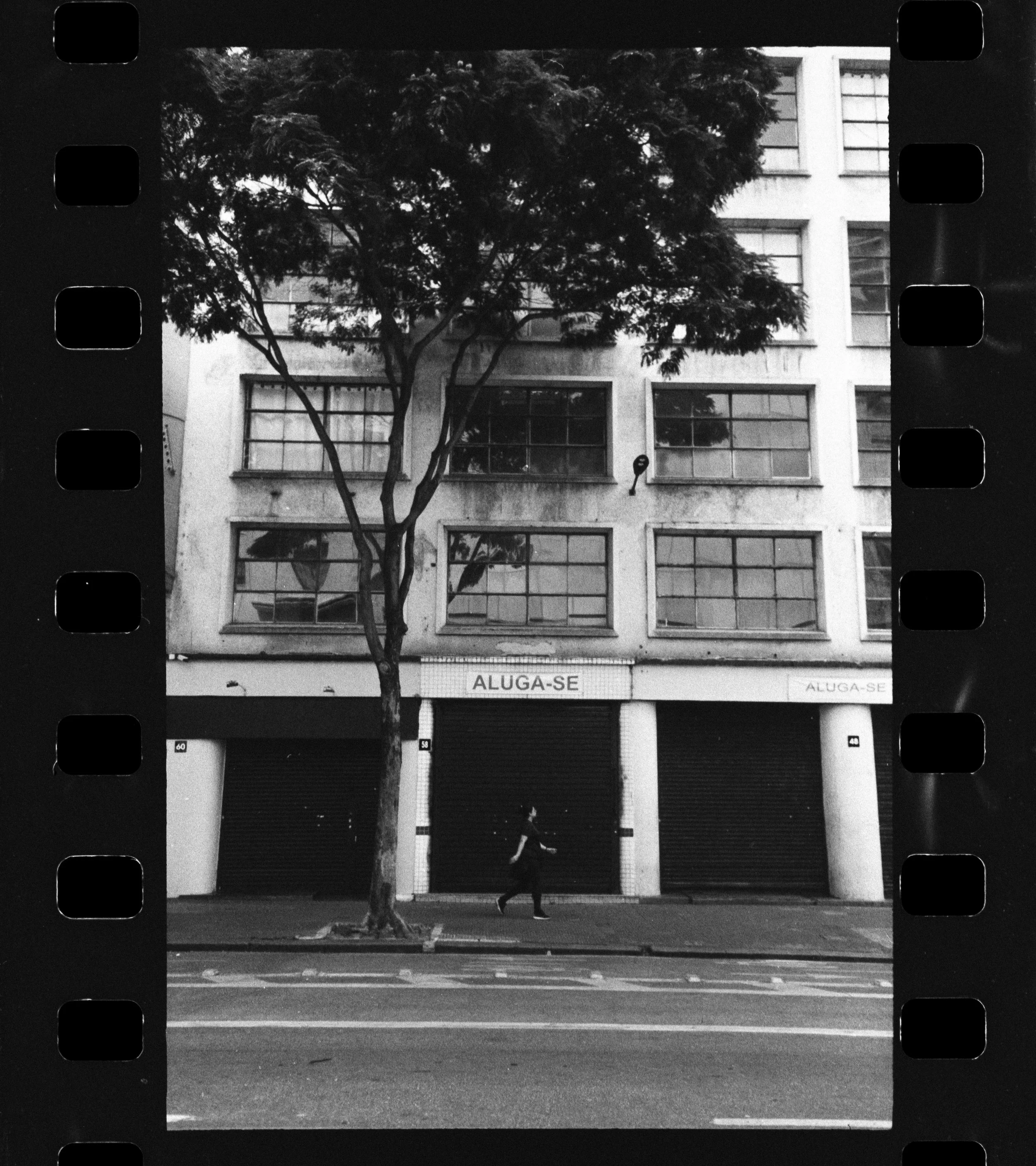 SP_Kodak_S100EF_Fomapan_200_02-1.jpg