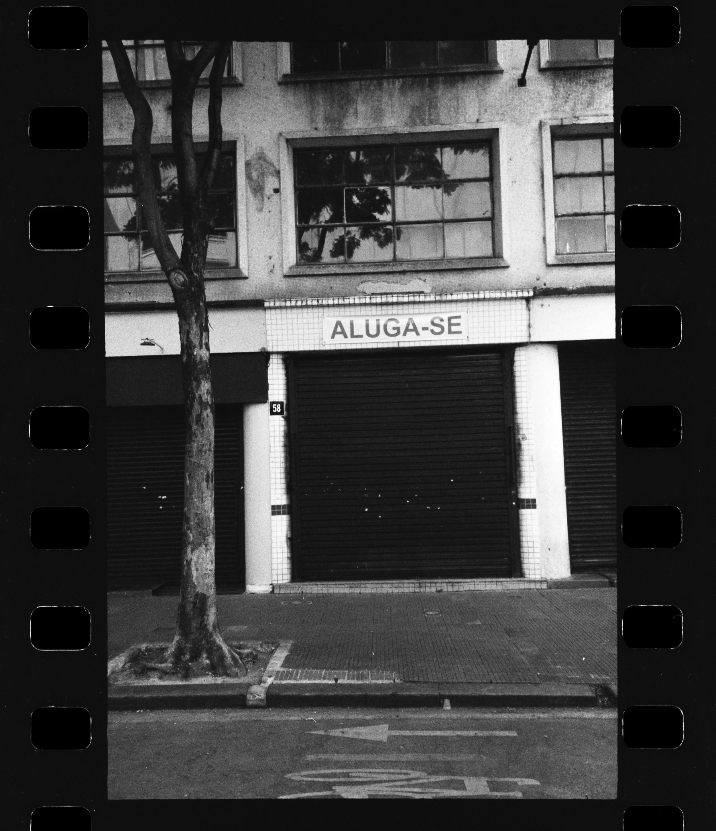 SP_Kodak_S100EF_Fomapan_200_04-1.jpg