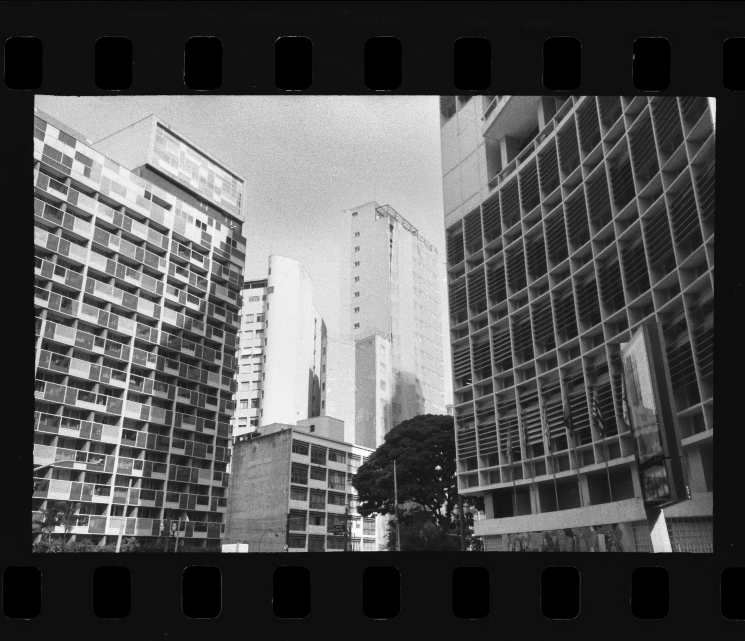 SP_Kodak_S100EF_Fomapan_200_38-1.jpg