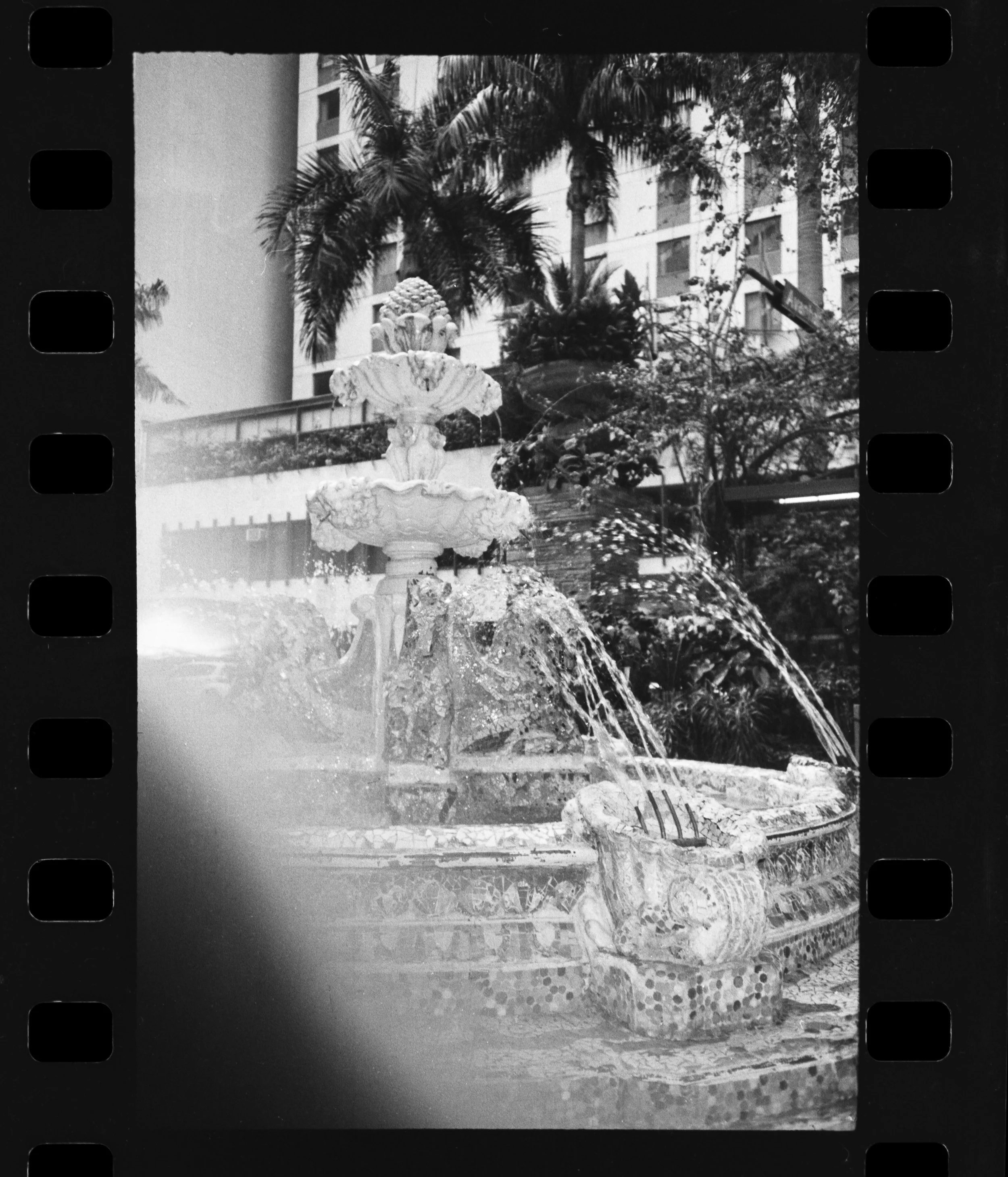 SP_Kodak_S100EF_Fomapan_200_39-1.jpg