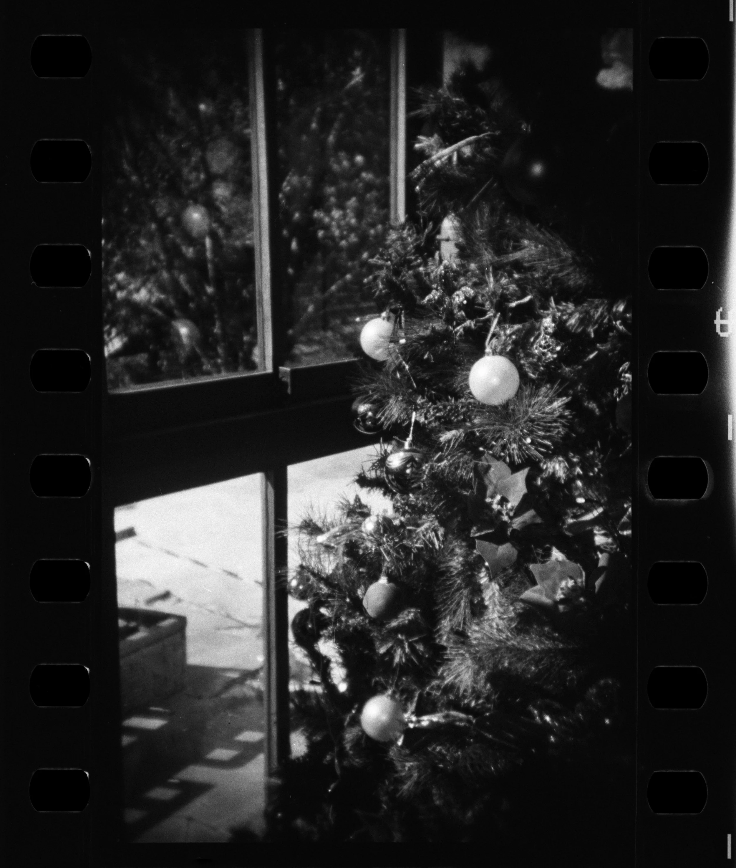 Campos_Holga_135FC_03-1.jpg