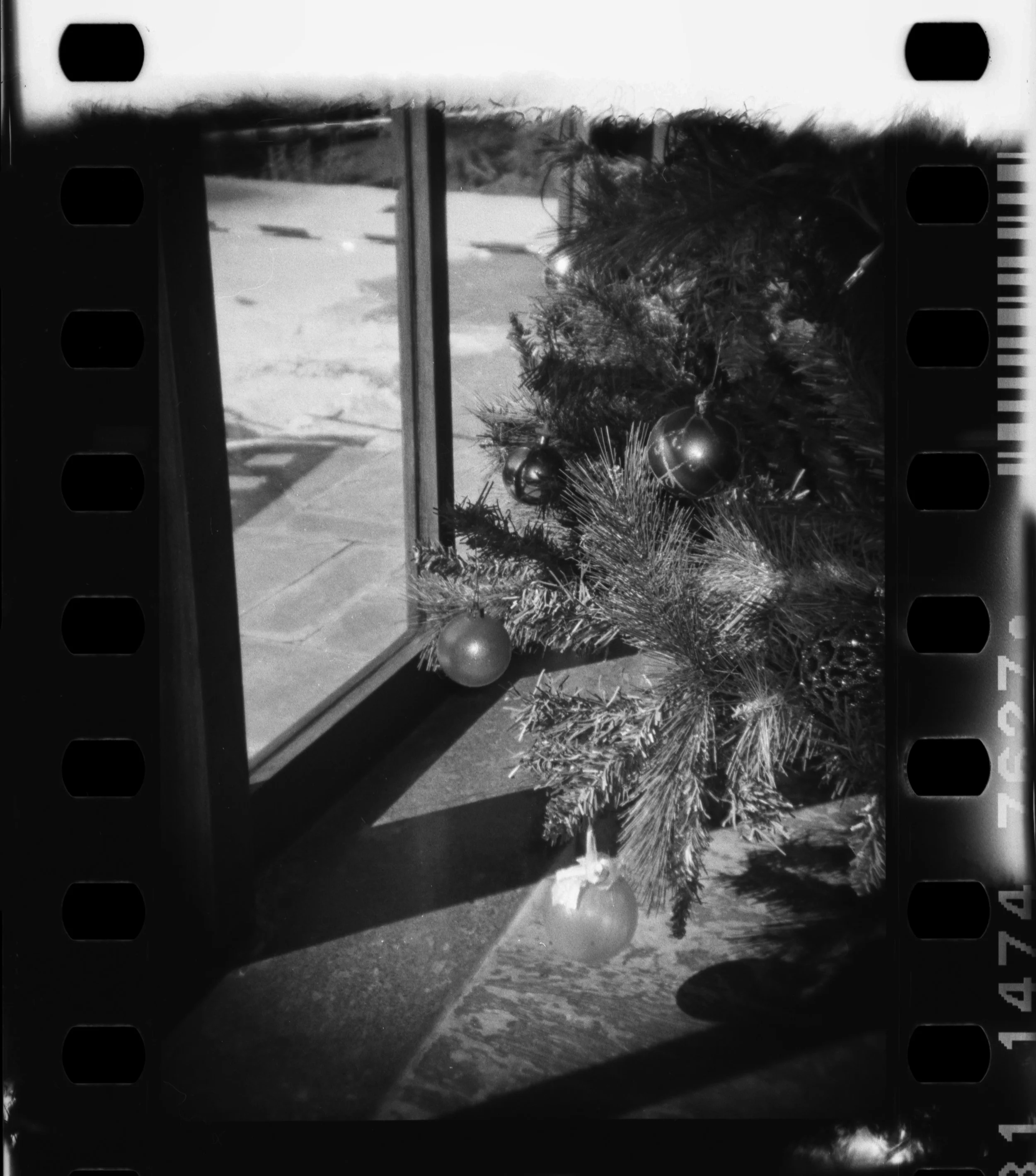 Campos_Holga_135FC_01-1.jpg