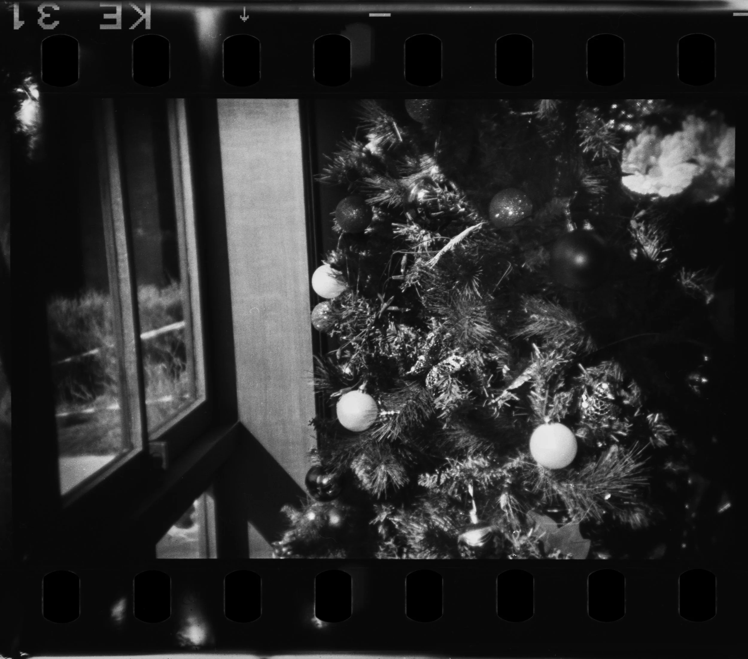 Campos_Holga_135FC_02-1.jpg
