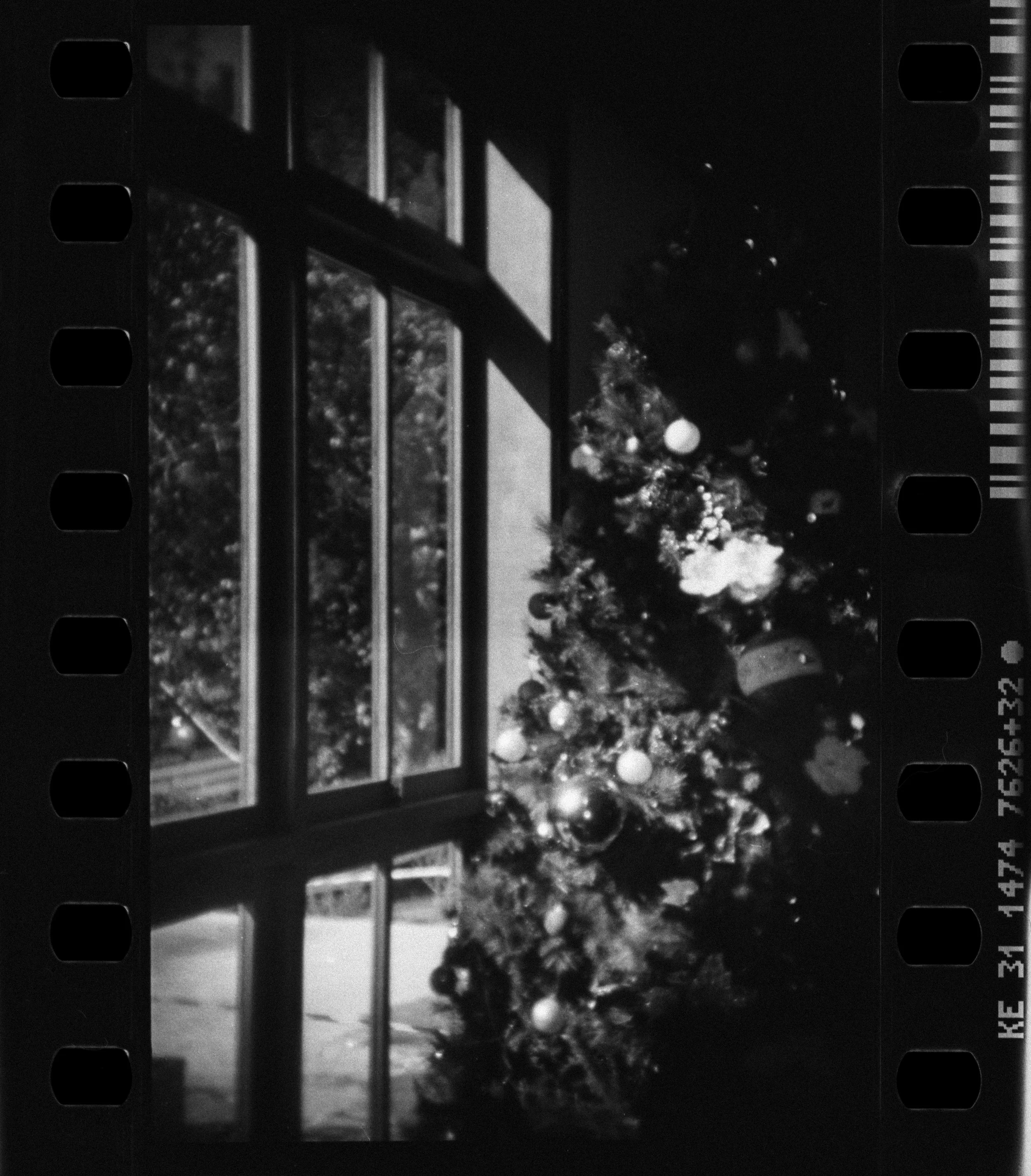 Campos_Holga_135FC_05-1.jpg